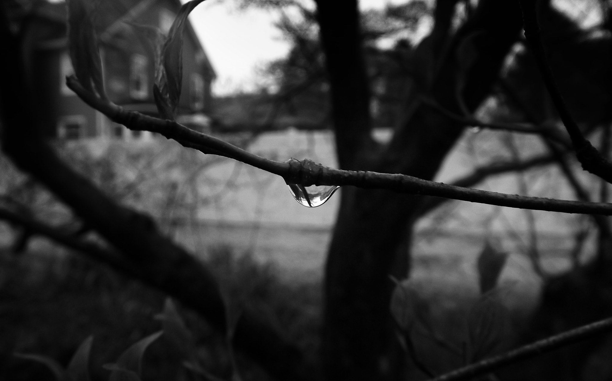 FujiFilm FinePix S3200 (FinePix S3250) sample photo. Droplet photography