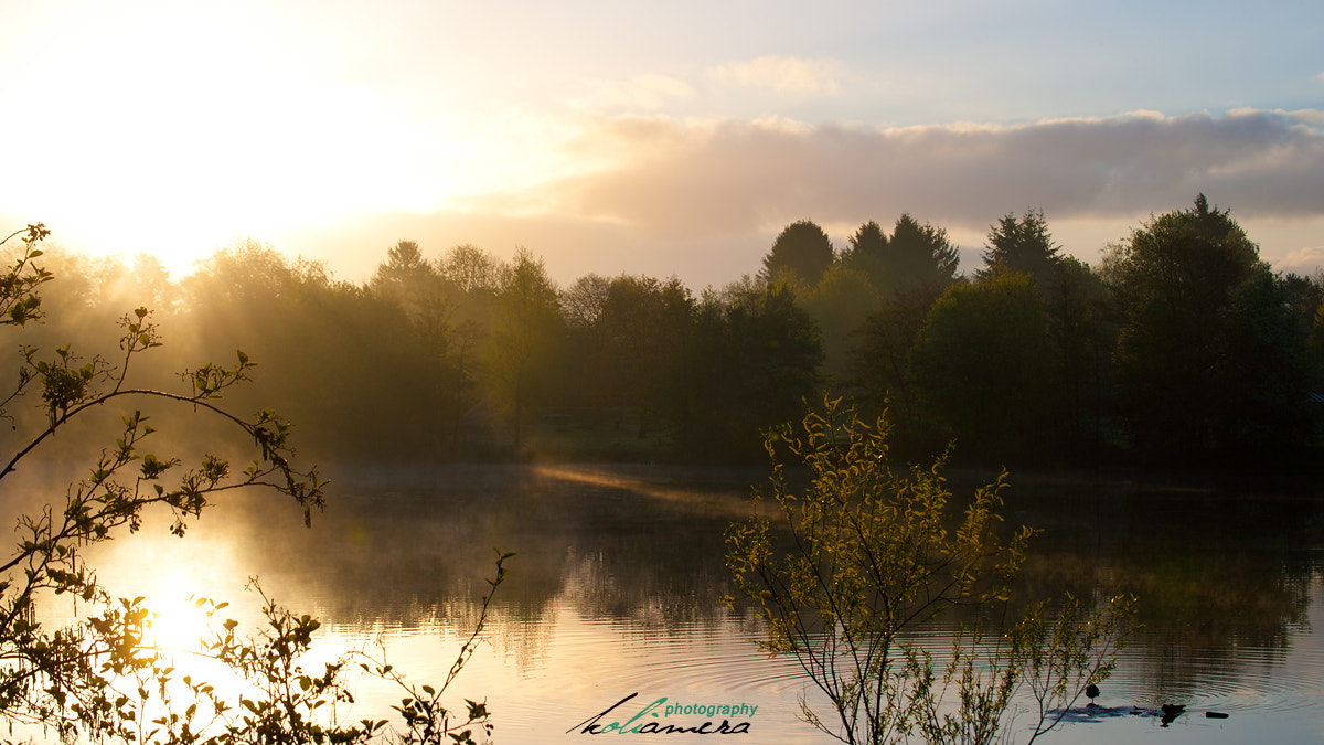Tamron SP 35mm F1.8 Di VC USD sample photo. Good morning sun @ hamburg photography