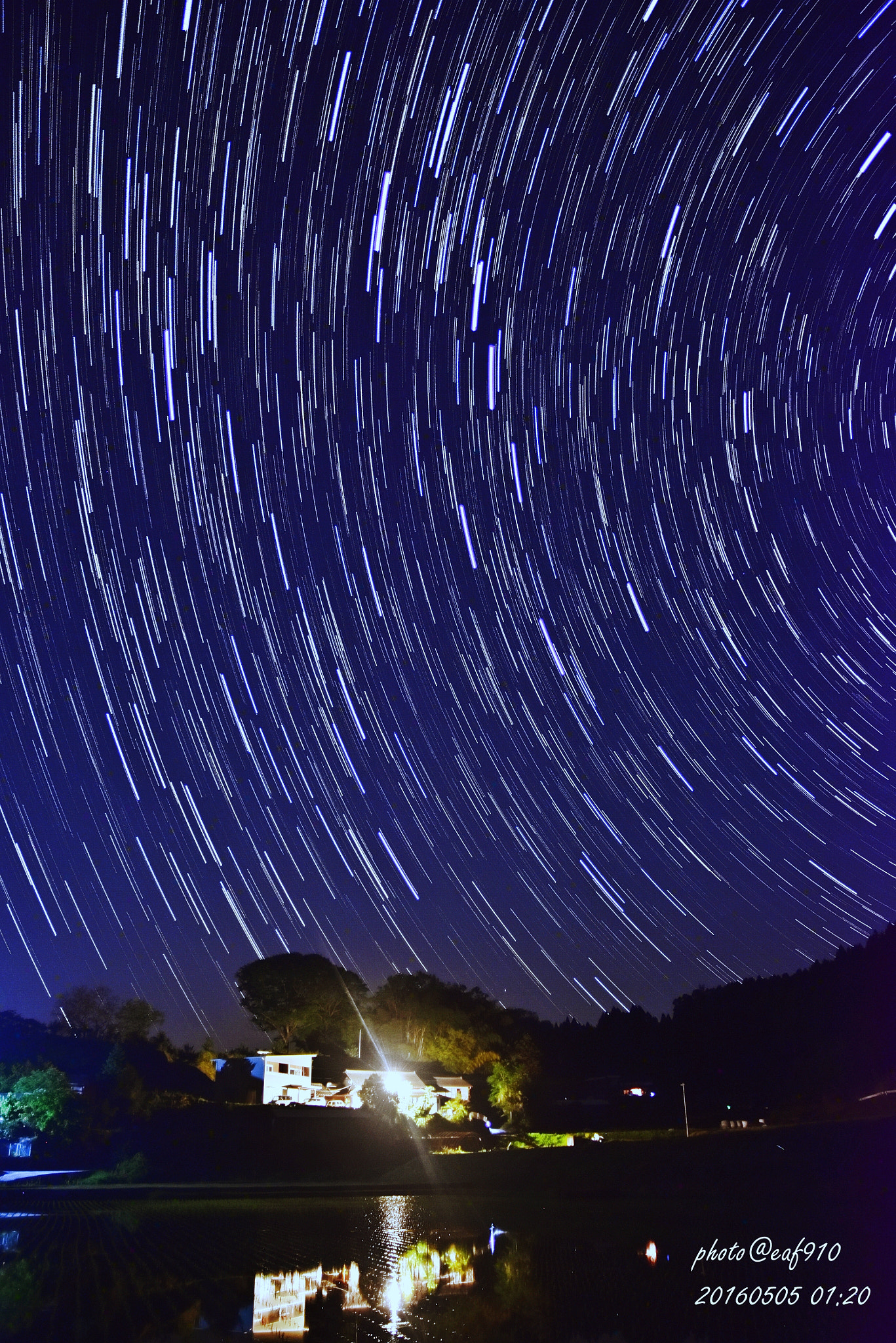 Sigma 17-70mm F2.8-4 DC Macro OS HSM | C sample photo. Source of diversity photography