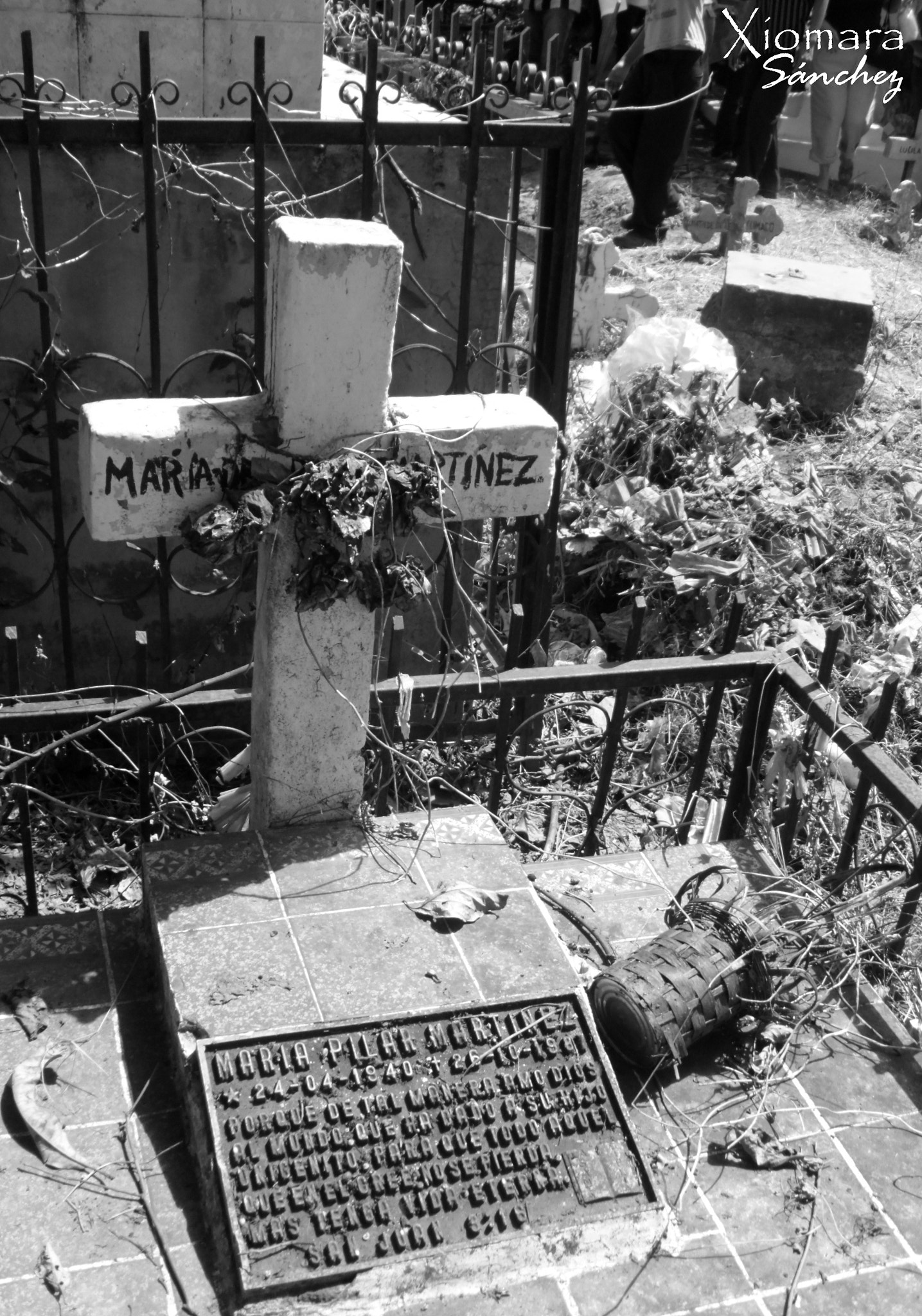 Samsung PL100 /  TL205 / VLUU PL100 /  PL101 sample photo. Cemetery photography