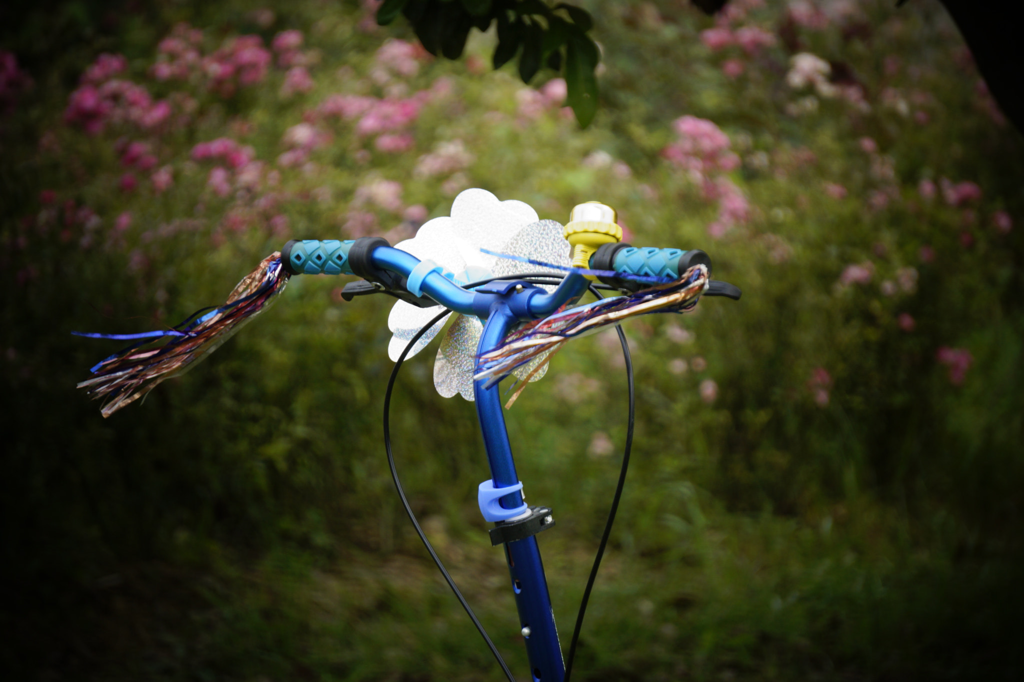 Sony E 55-210mm F4.5-6.3 OSS sample photo. 春天 photography