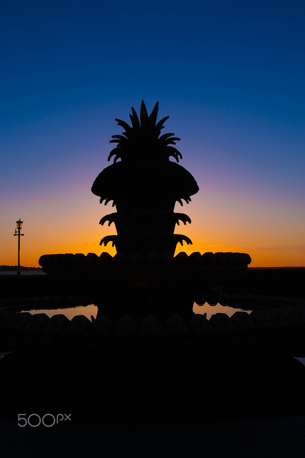 Canon EOS 70D + Canon EF 24mm F1.4L II USM sample photo. Morning pineapple photography