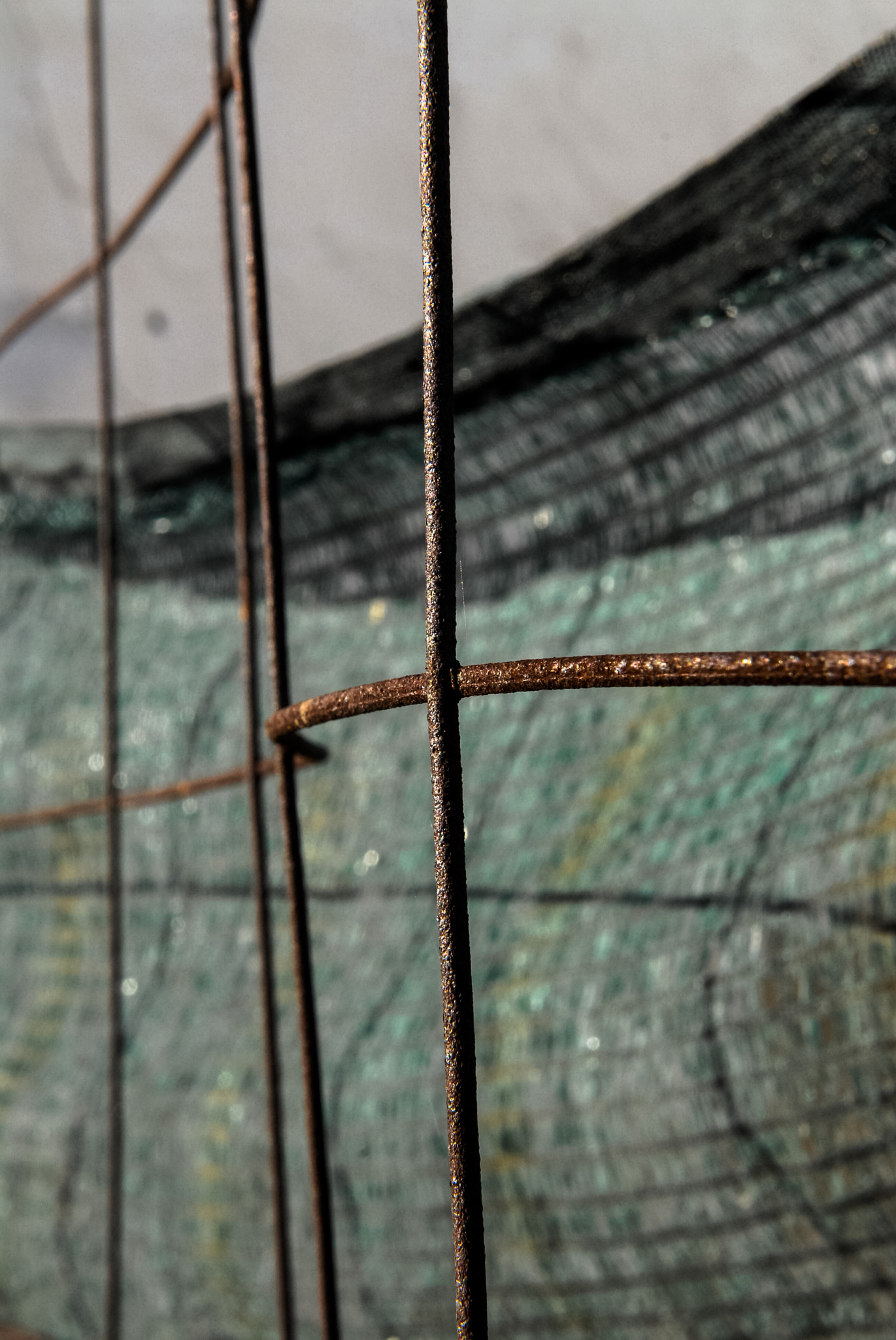 Nikon D200 sample photo. Rust photography