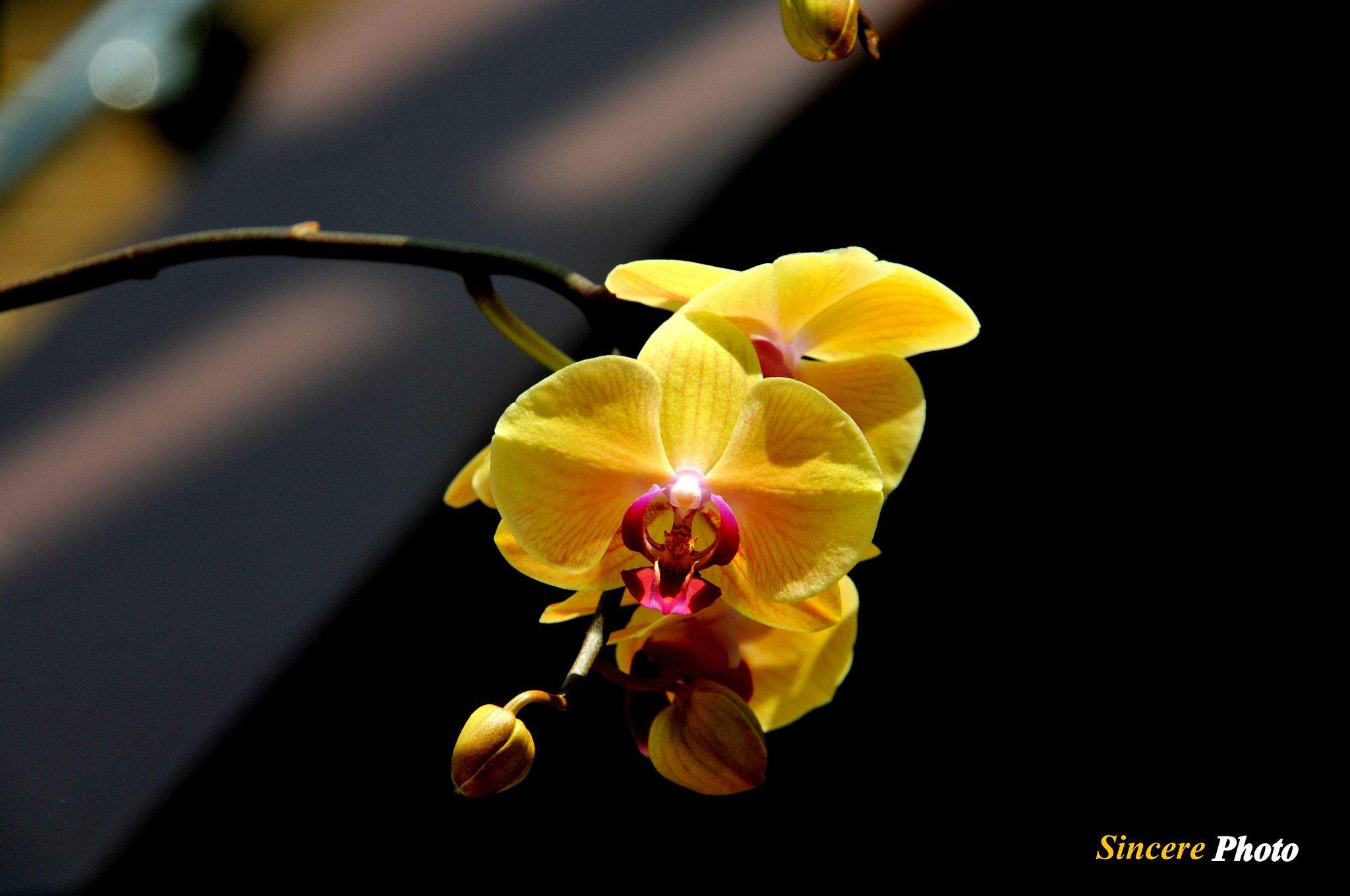Sigma 18-200mm F3.5-6.3 DC OS HSM sample photo