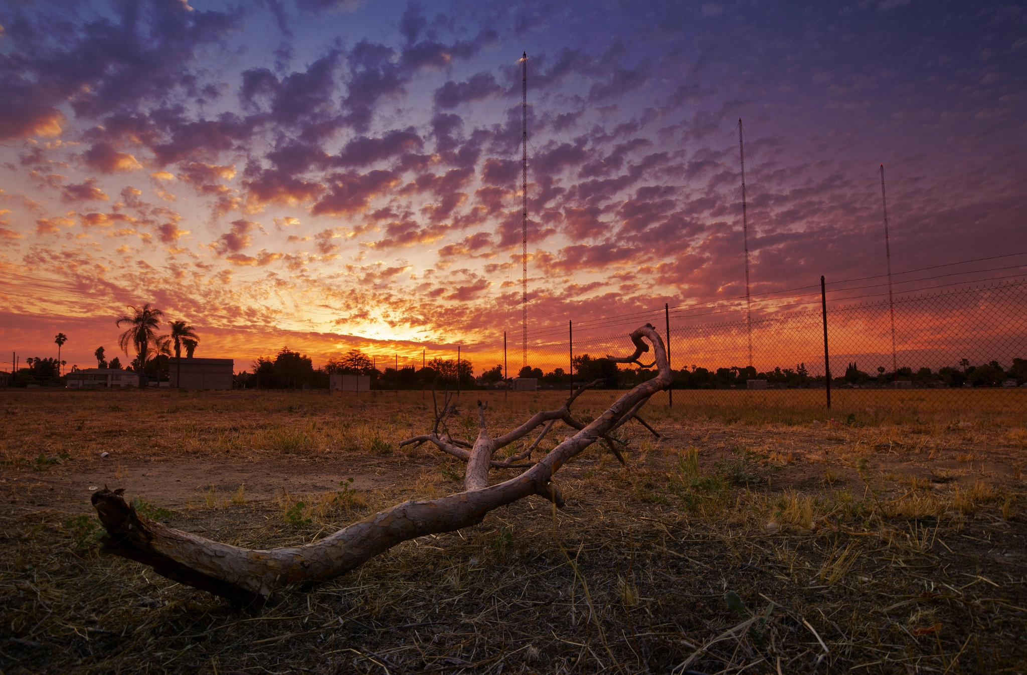 Sigma 10-20mm F3.5 EX DC HSM sample photo. Noho sunset photography