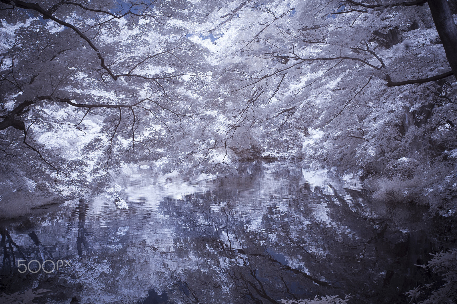 Nikon D50 sample photo. 26757628001.jpg photography