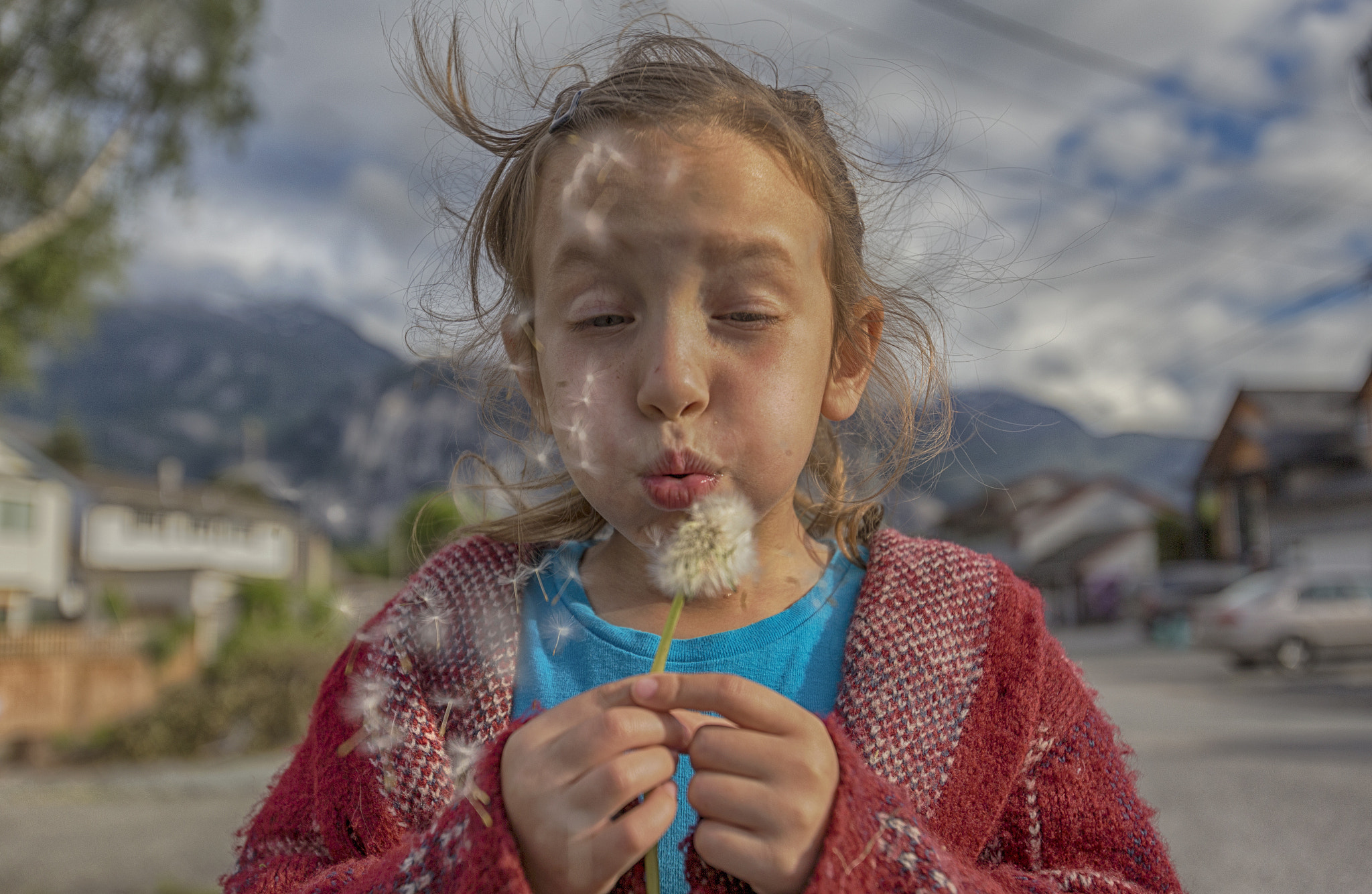 Canon EOS 6D + Canon EF 16-35mm F2.8L USM sample photo. Dandelion. photography