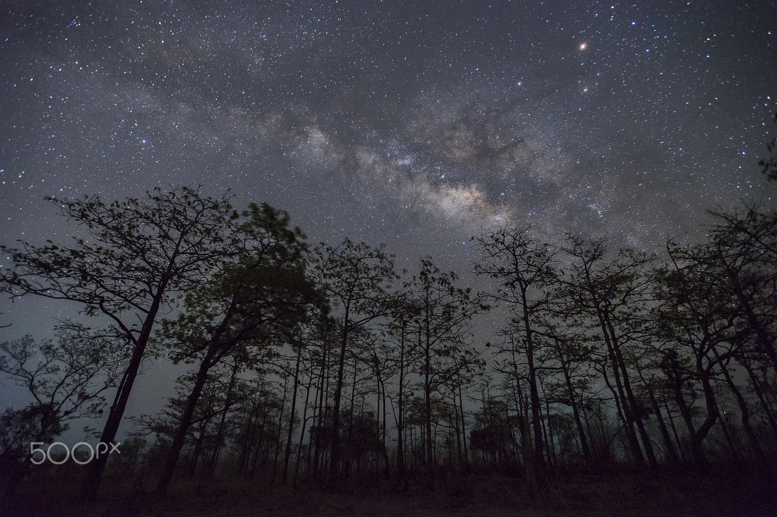 Sony a7 II + Canon EF 16-35mm F2.8L II USM sample photo. Galaxy photography