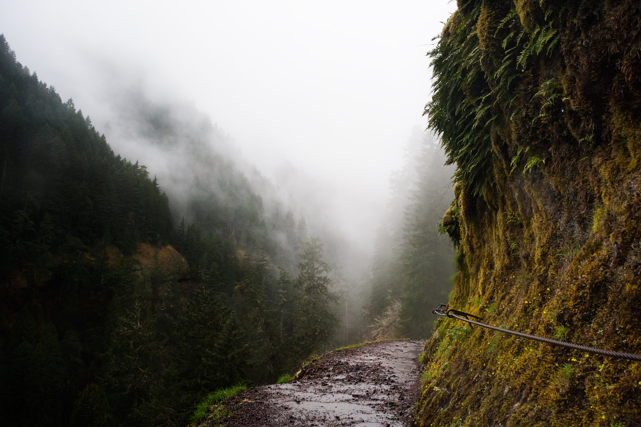 AF Zoom-Nikkor 28-80mm f/3.3-5.6G sample photo. Dangerous trail hike photography