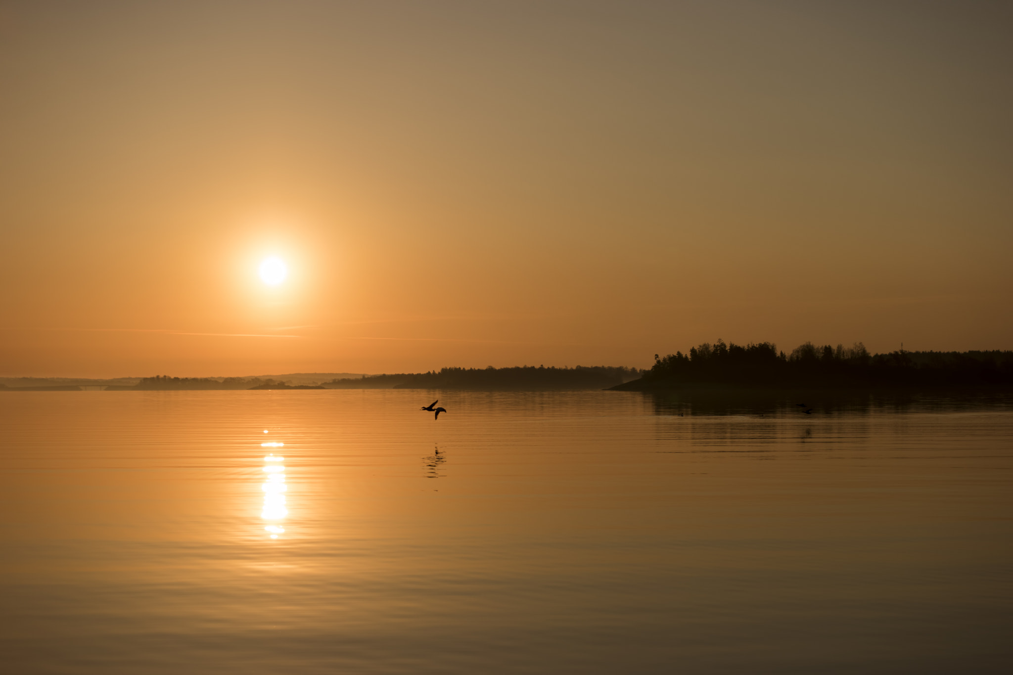 Samsung NX1 + Samsung NX 50-200mm F4-5.6 ED OIS sample photo. Morning glory photography