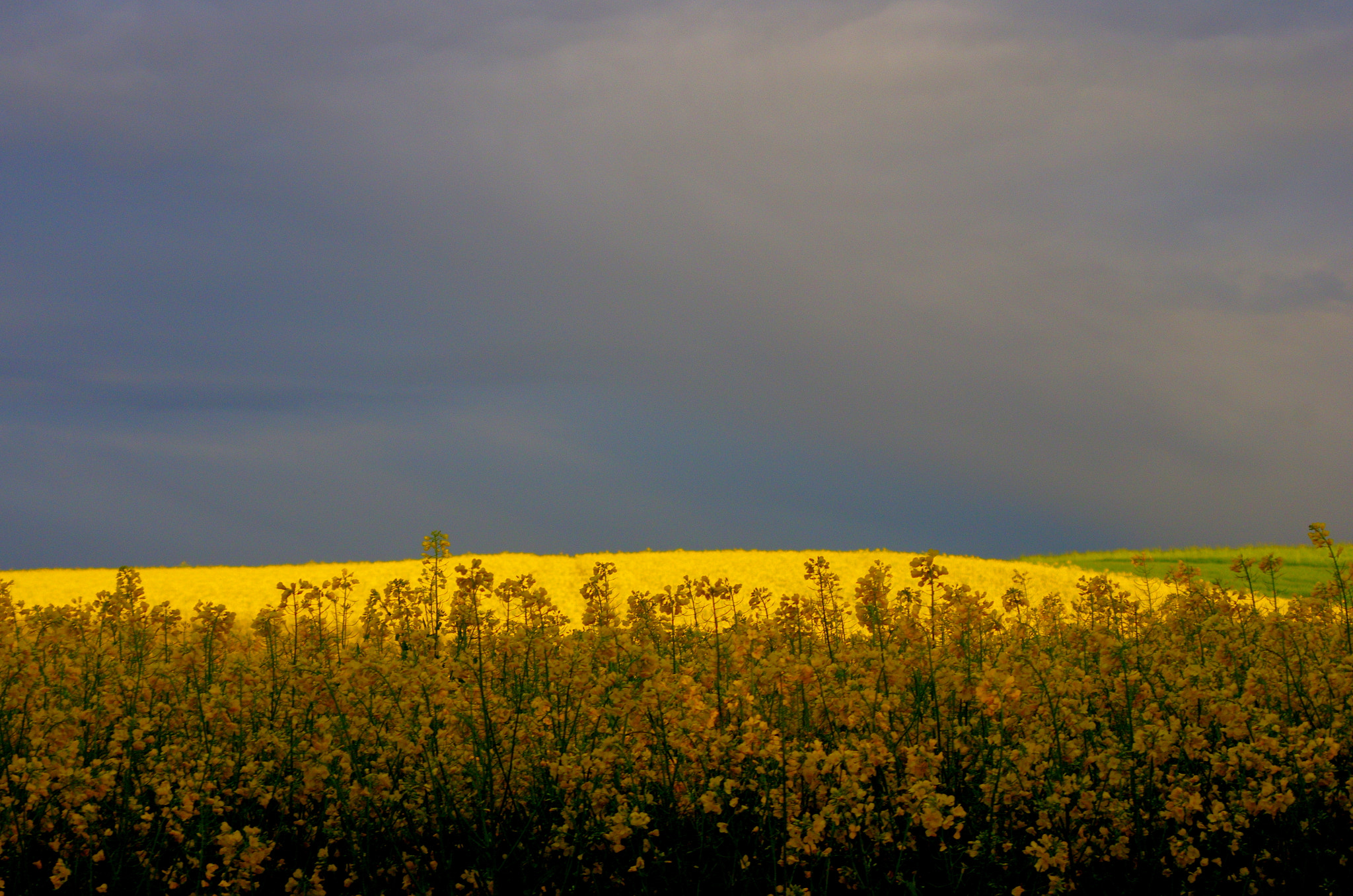 smc PENTAX-DA L 55-300mm F4-5.8 ED sample photo. What happens next? photography