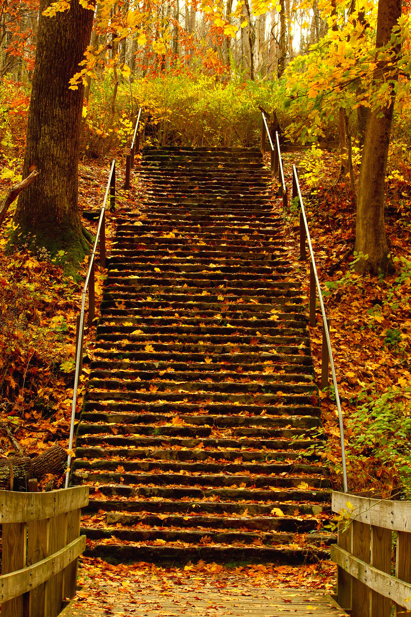 Canon EF-S 55-250mm F4-5.6 IS II sample photo. Hacklebarney state park, new jersey photography