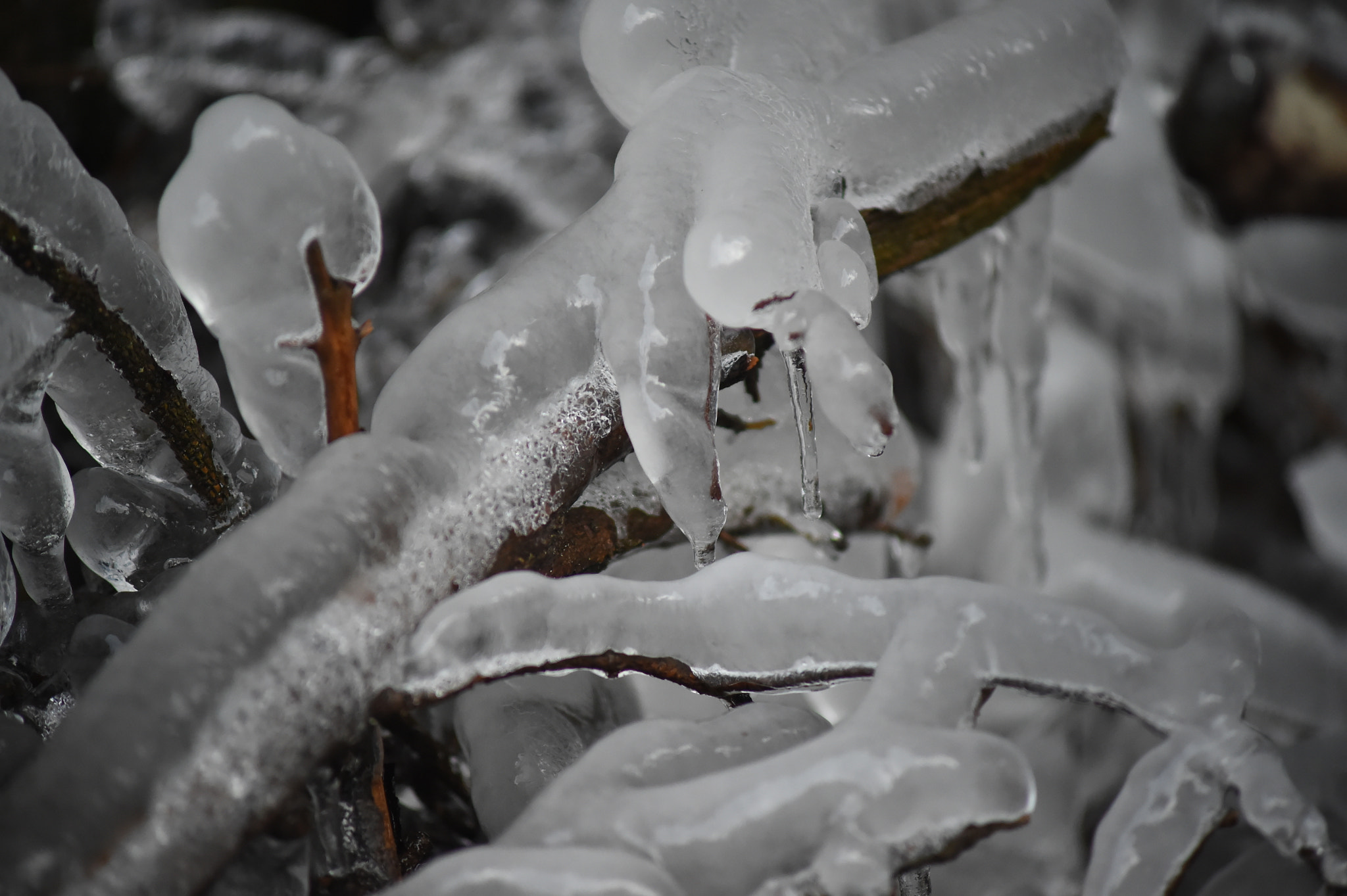 Manual Lens No CPU sample photo. Eis art photography