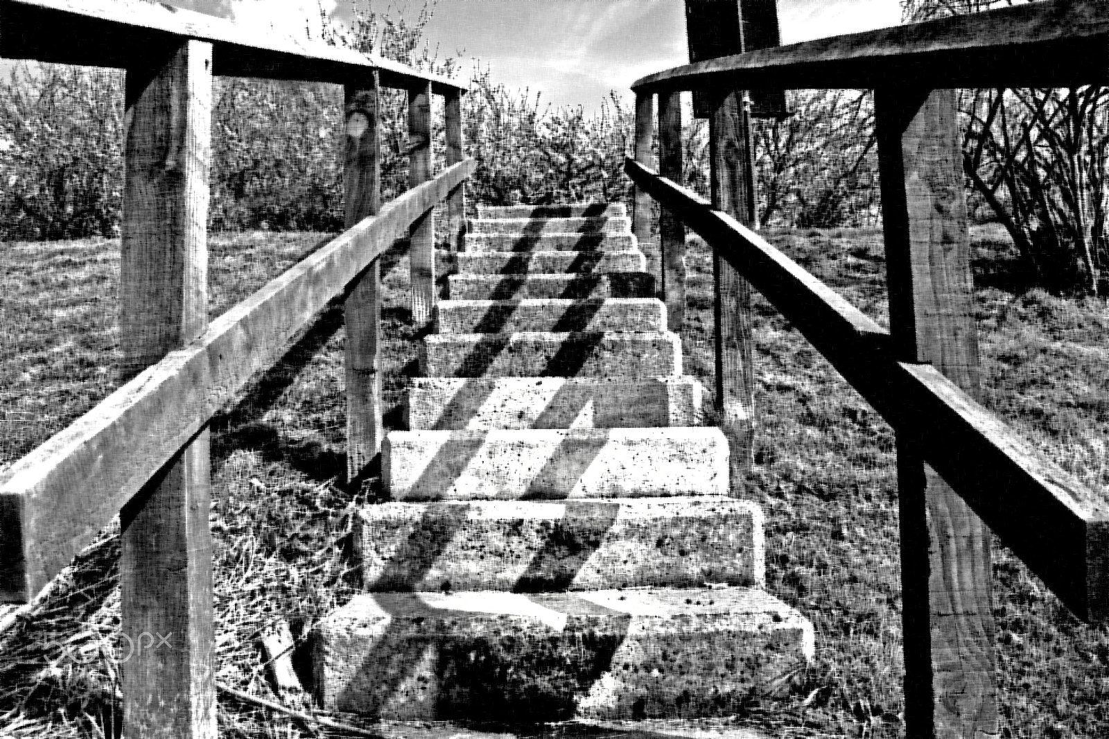 Canon EOS 40D sample photo. Stairs from the jetty. photography