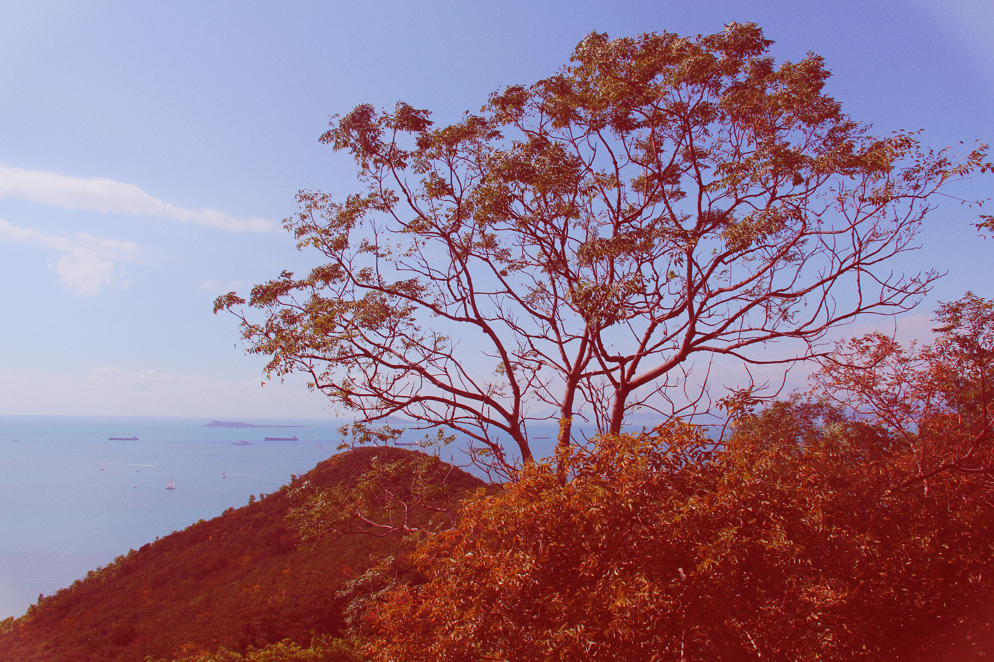 Canon EF-S 18-200mm F3.5-5.6 IS sample photo