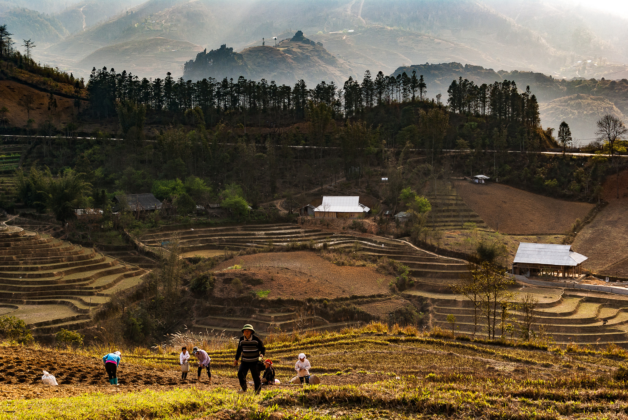 Sony Alpha DSLR-A330 + Sony DT 35mm F1.8 SAM sample photo. Farm, vietnam photography