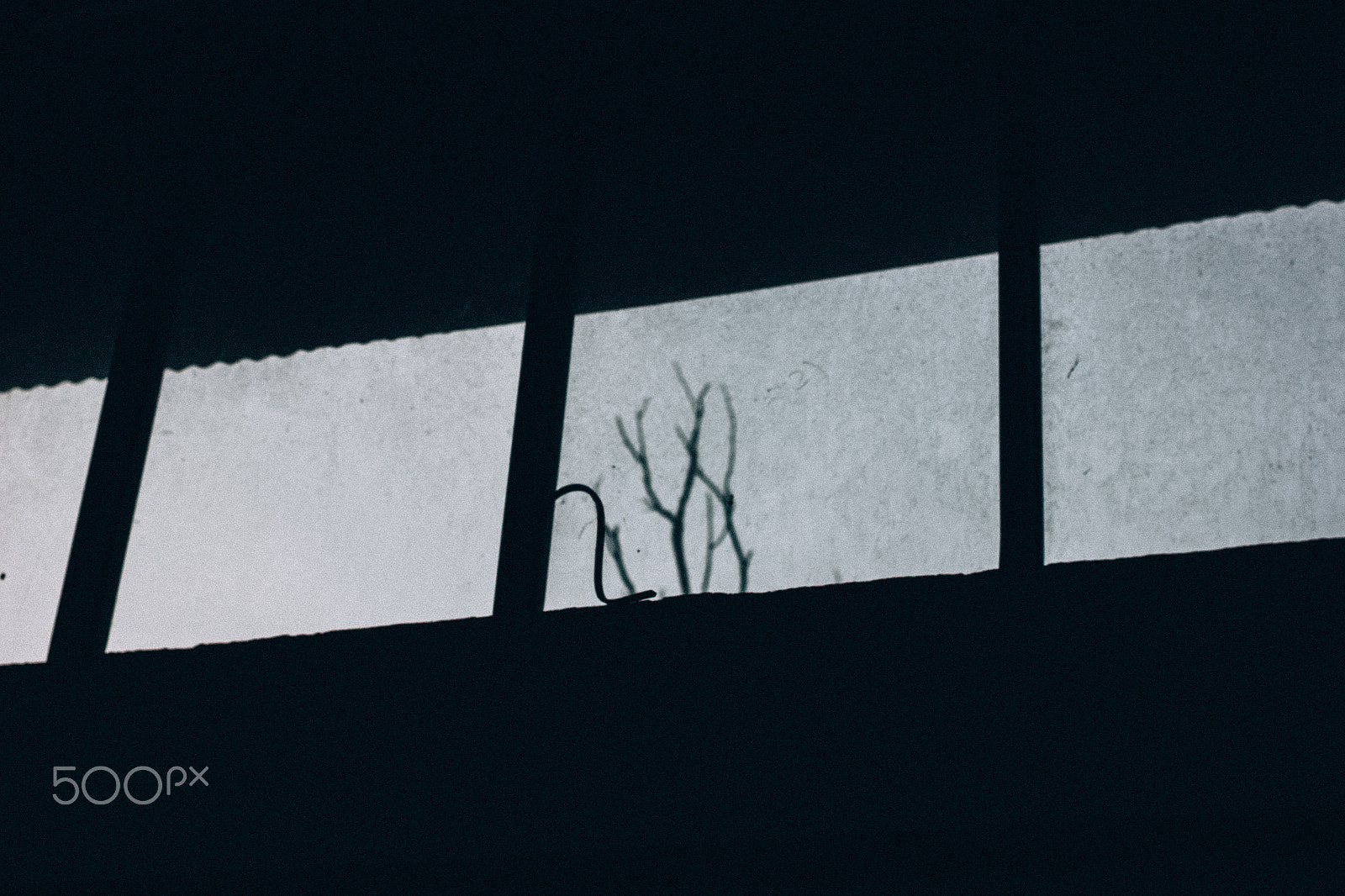 Canon EOS 550D (EOS Rebel T2i / EOS Kiss X4) + Canon EF 40mm F2.8 STM sample photo. Sometimes i feel like this photography