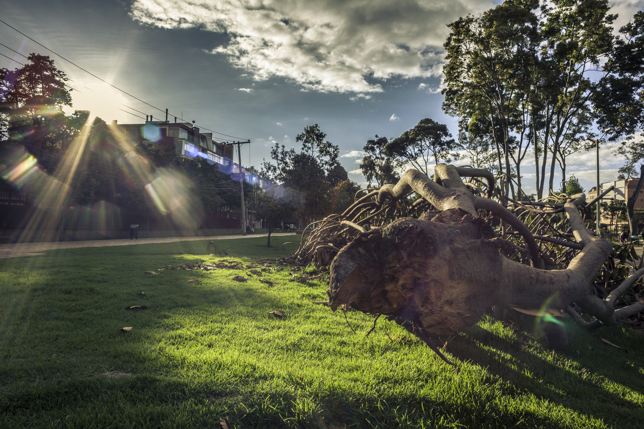 Canon EF 24mm F2.8 sample photo. No more please photography