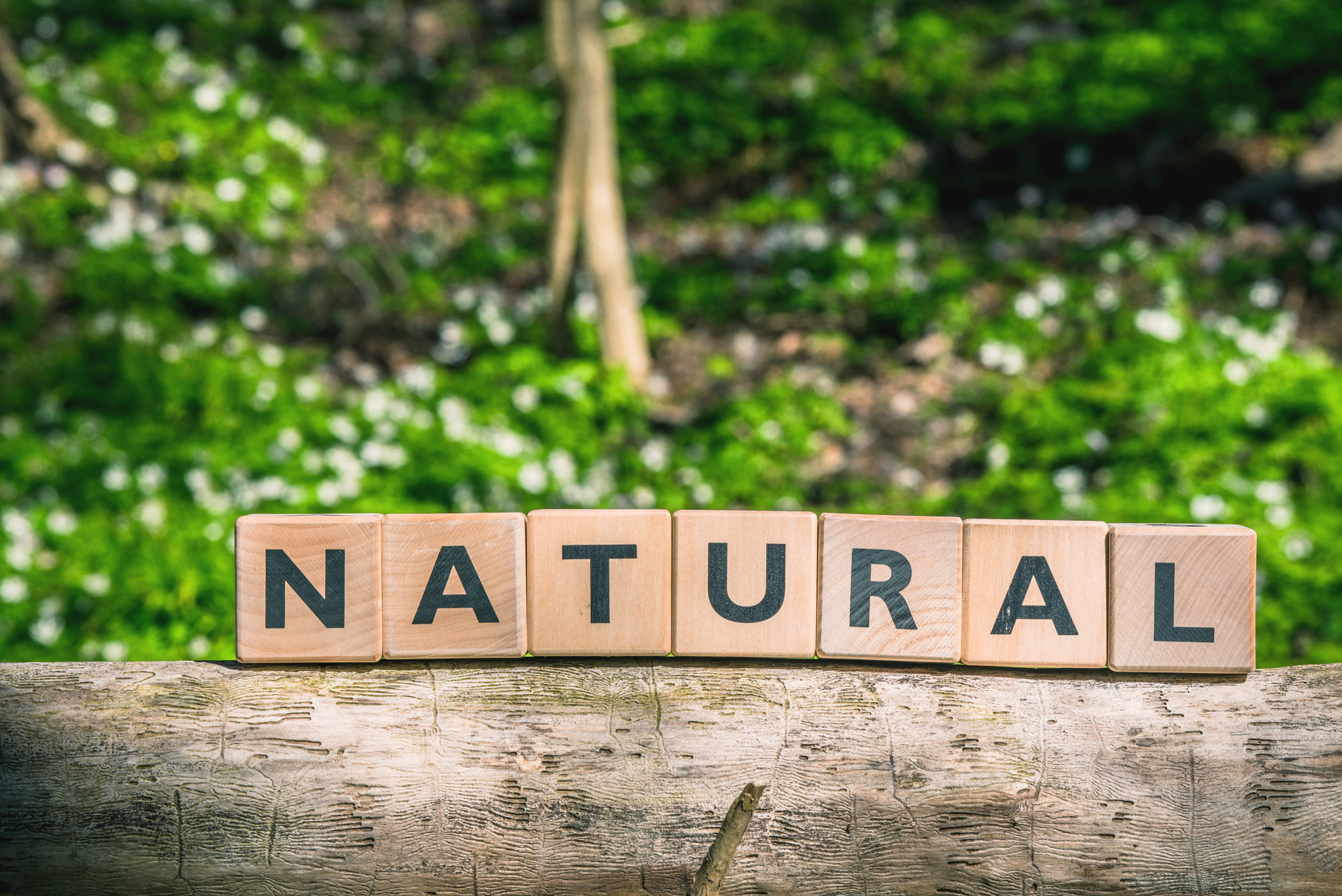 Sony 70-400mm F4-5.6 G SSM II sample photo. Sign with the word natural photography