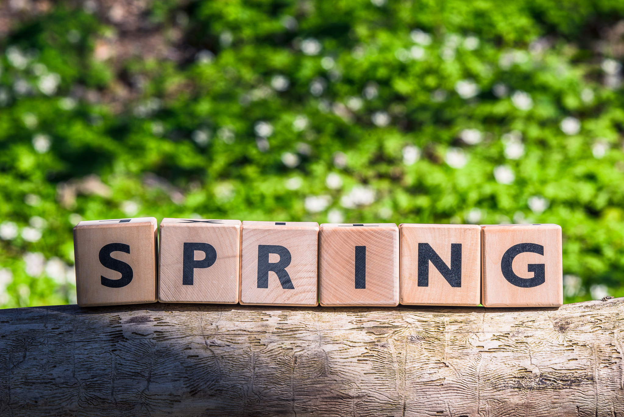 Sony 70-400mm F4-5.6 G SSM II sample photo. Wooden spring sign in a green forest photography