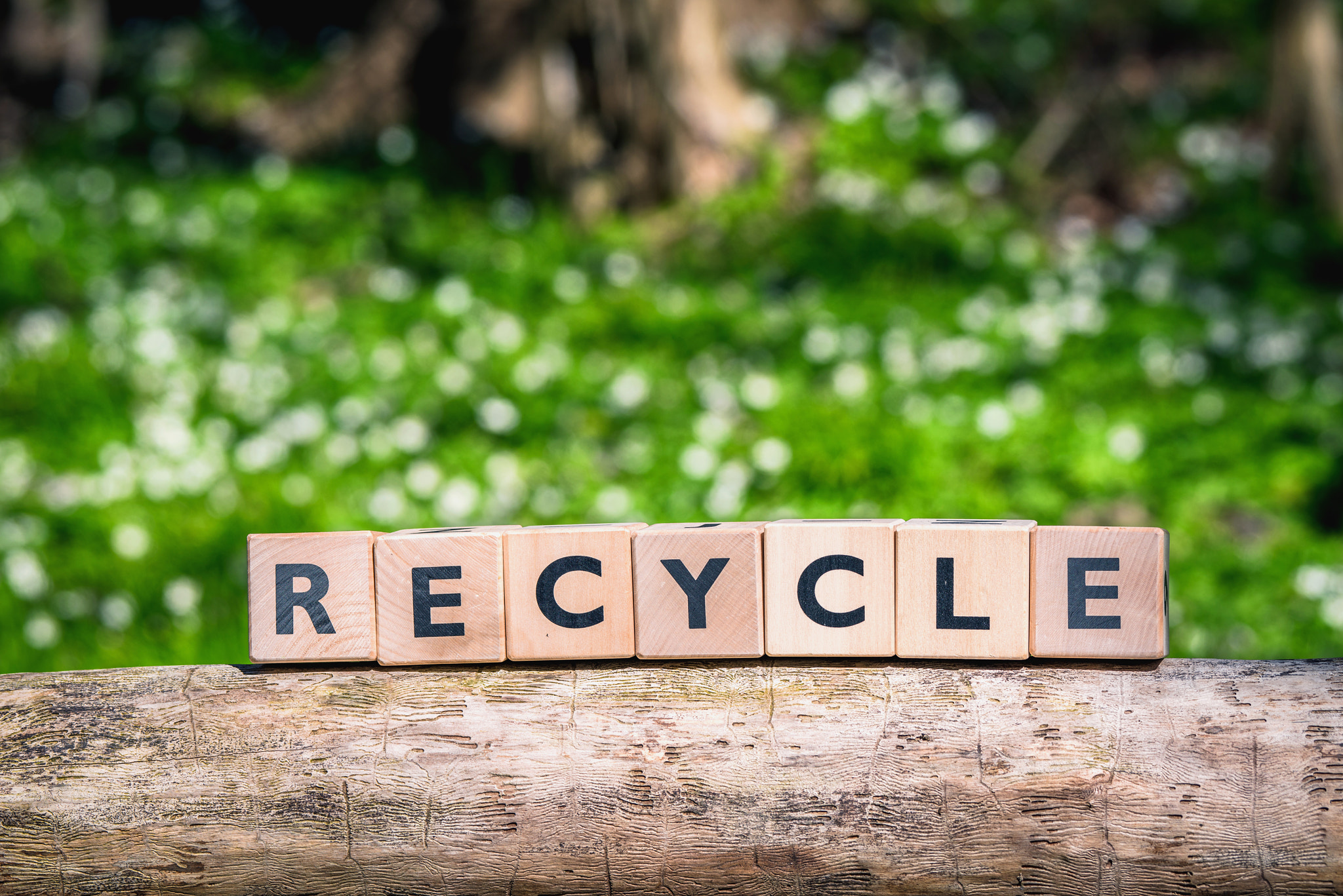 Sony 70-400mm F4-5.6 G SSM II sample photo. Recycle sign in a green forest photography