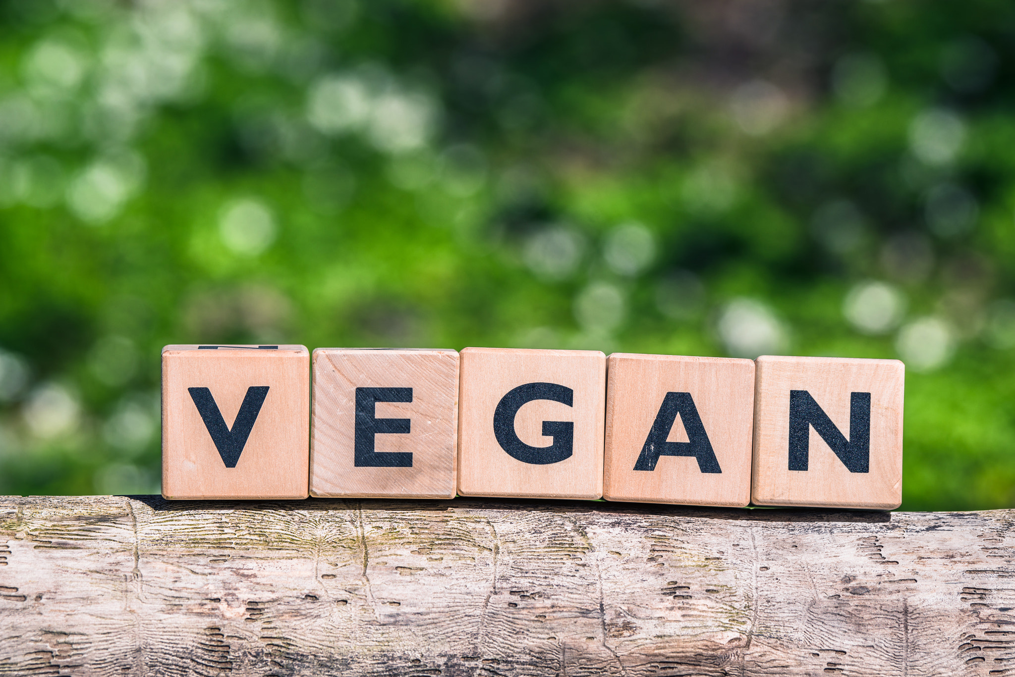 Sony 70-400mm F4-5.6 G SSM II sample photo. Vegan label on a tree log photography