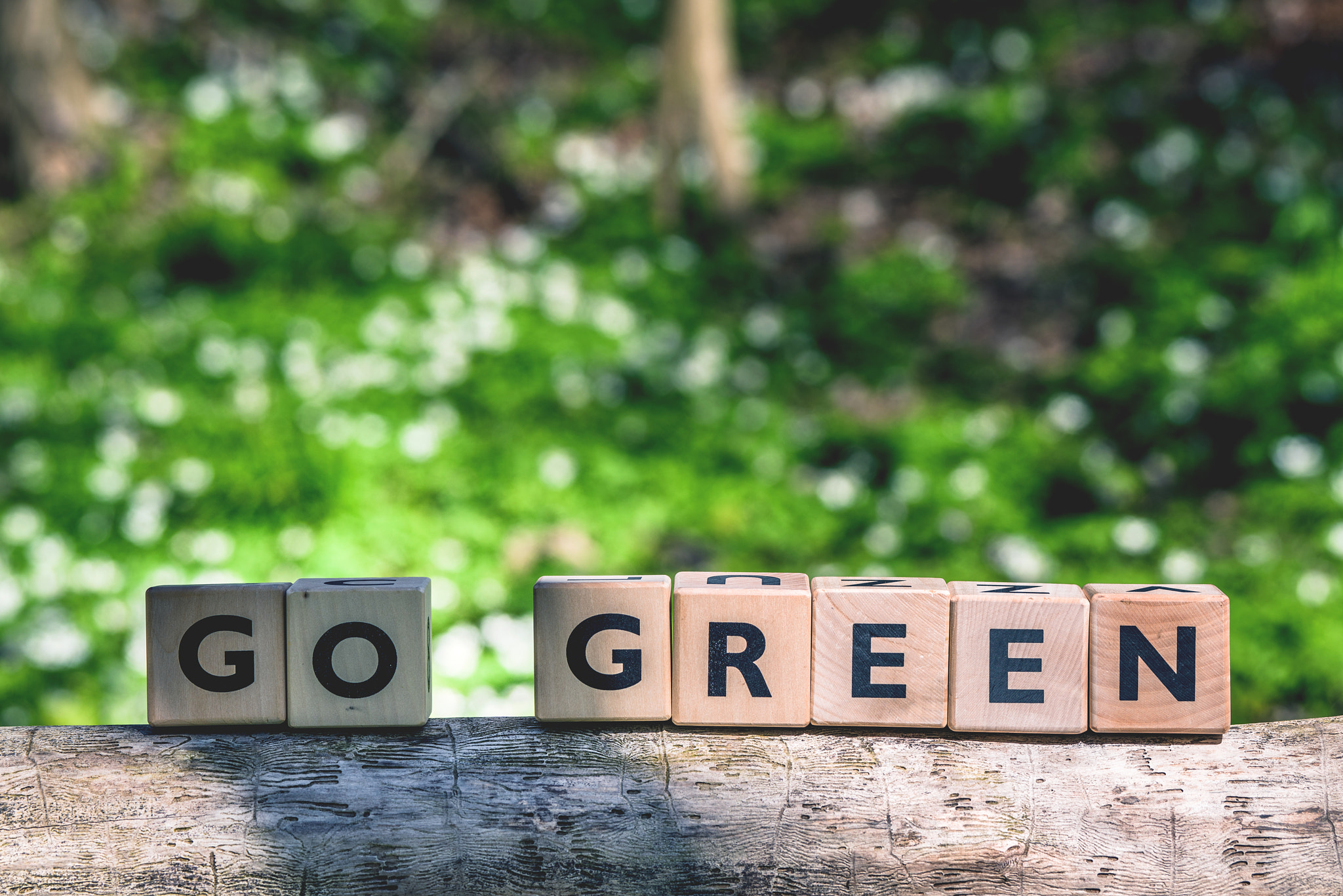 Sony 70-400mm F4-5.6 G SSM II sample photo. Go green message in a forest photography