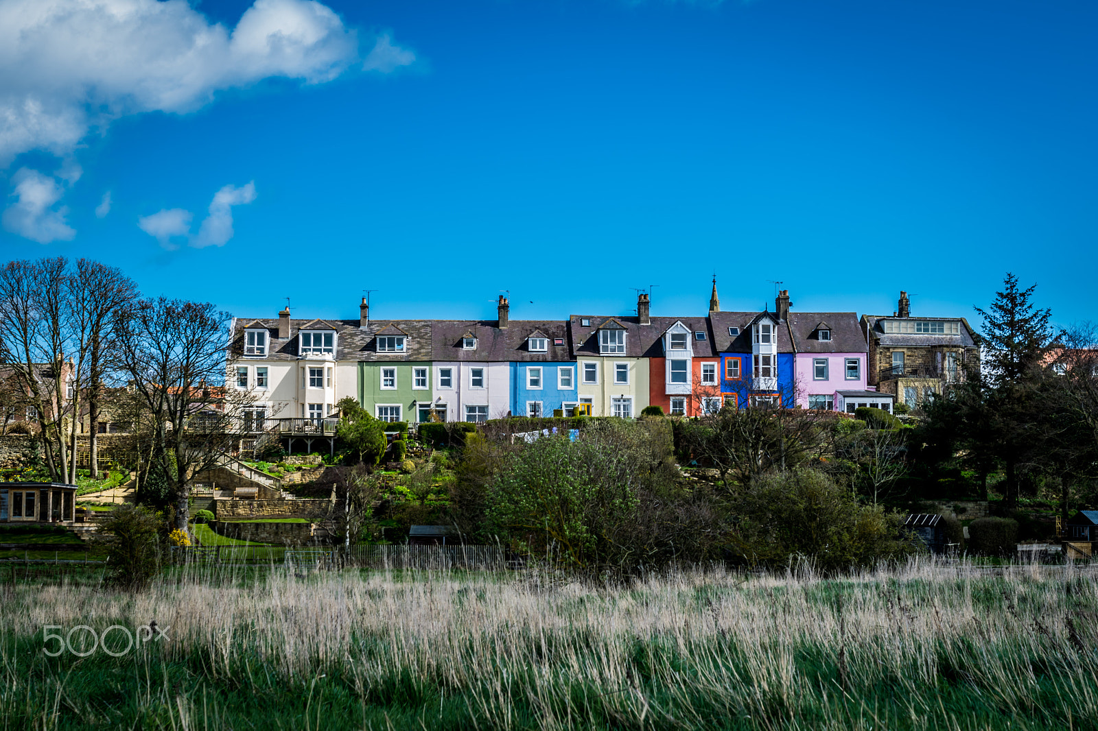 Sigma 18-50mm F2.8-4.5 DC OS HSM sample photo. North east coast  spring 2016 photography