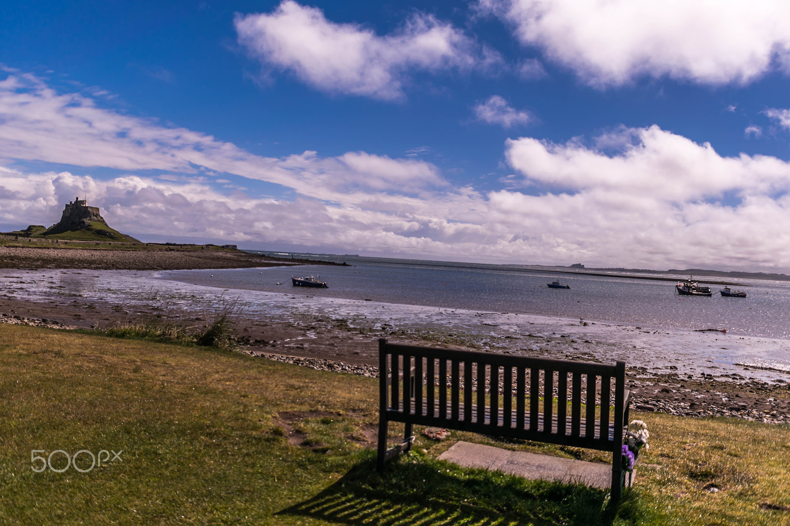 Sigma 18-50mm F2.8-4.5 DC OS HSM sample photo. North east coast  spring 2016 photography