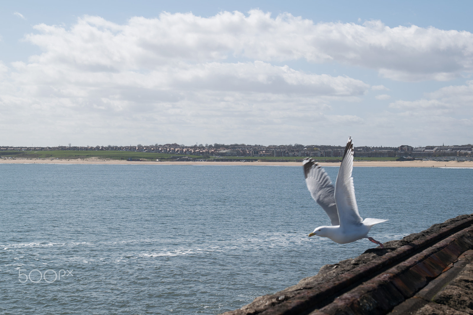 Sigma 18-50mm F2.8-4.5 DC OS HSM sample photo. North east coast  spring 2016 photography