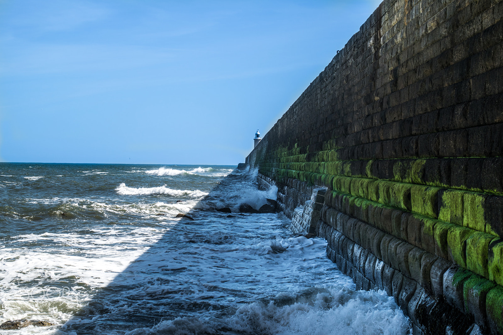 Sigma 18-50mm F2.8-4.5 DC OS HSM sample photo. North east coast  spring 2016 photography