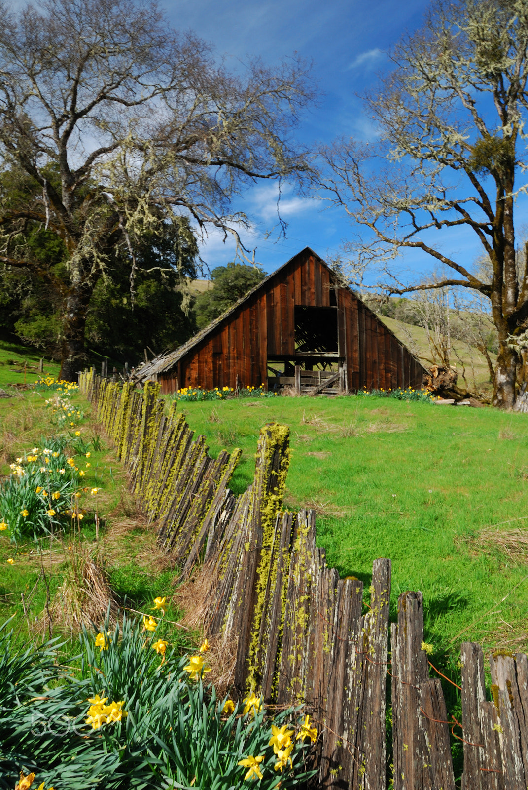 Nikon D80 + Sigma 18-50mm F2.8 EX DC Macro sample photo. Old barn photography