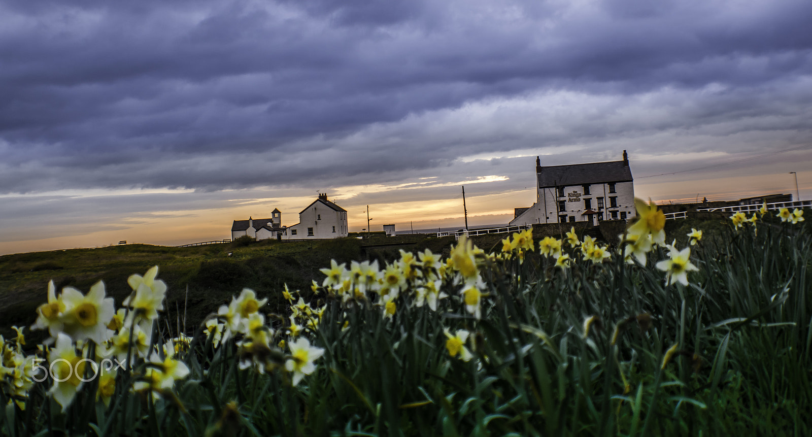 Sigma 18-50mm F2.8-4.5 DC OS HSM sample photo. North east coast  spring 2016 photography