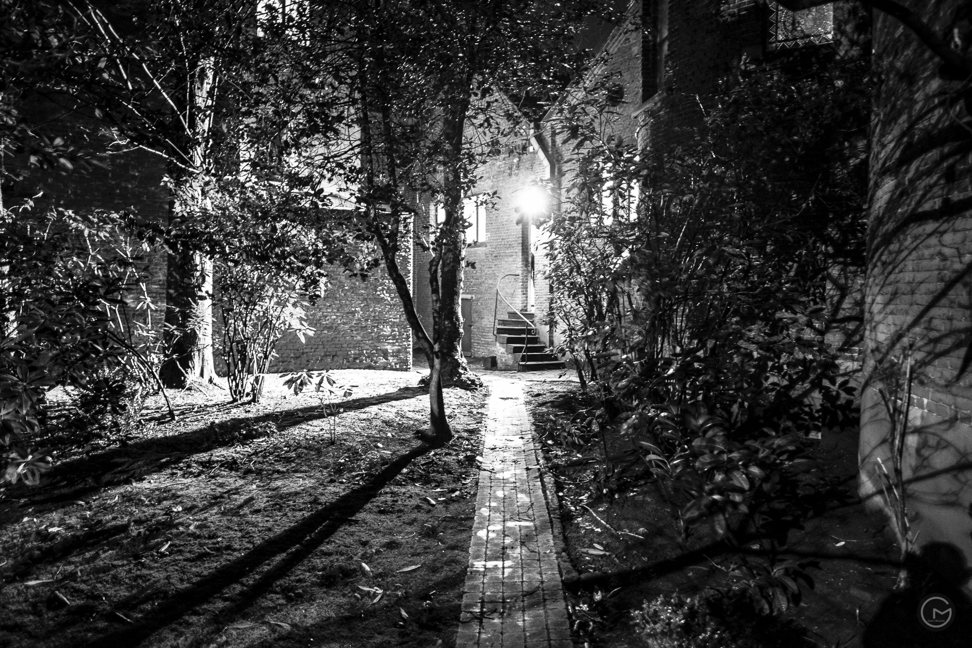 Fujifilm X-E2 + Fujifilm XF 16mm F1.4 R WR sample photo. Light in the darkness photography