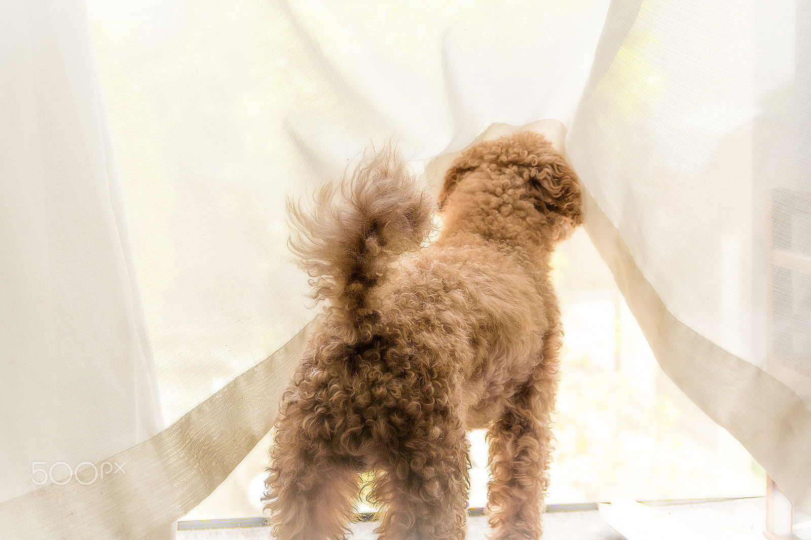 Sigma 17-70mm F2.8-4 DC Macro OS HSM | C sample photo. Do not anyone? photography