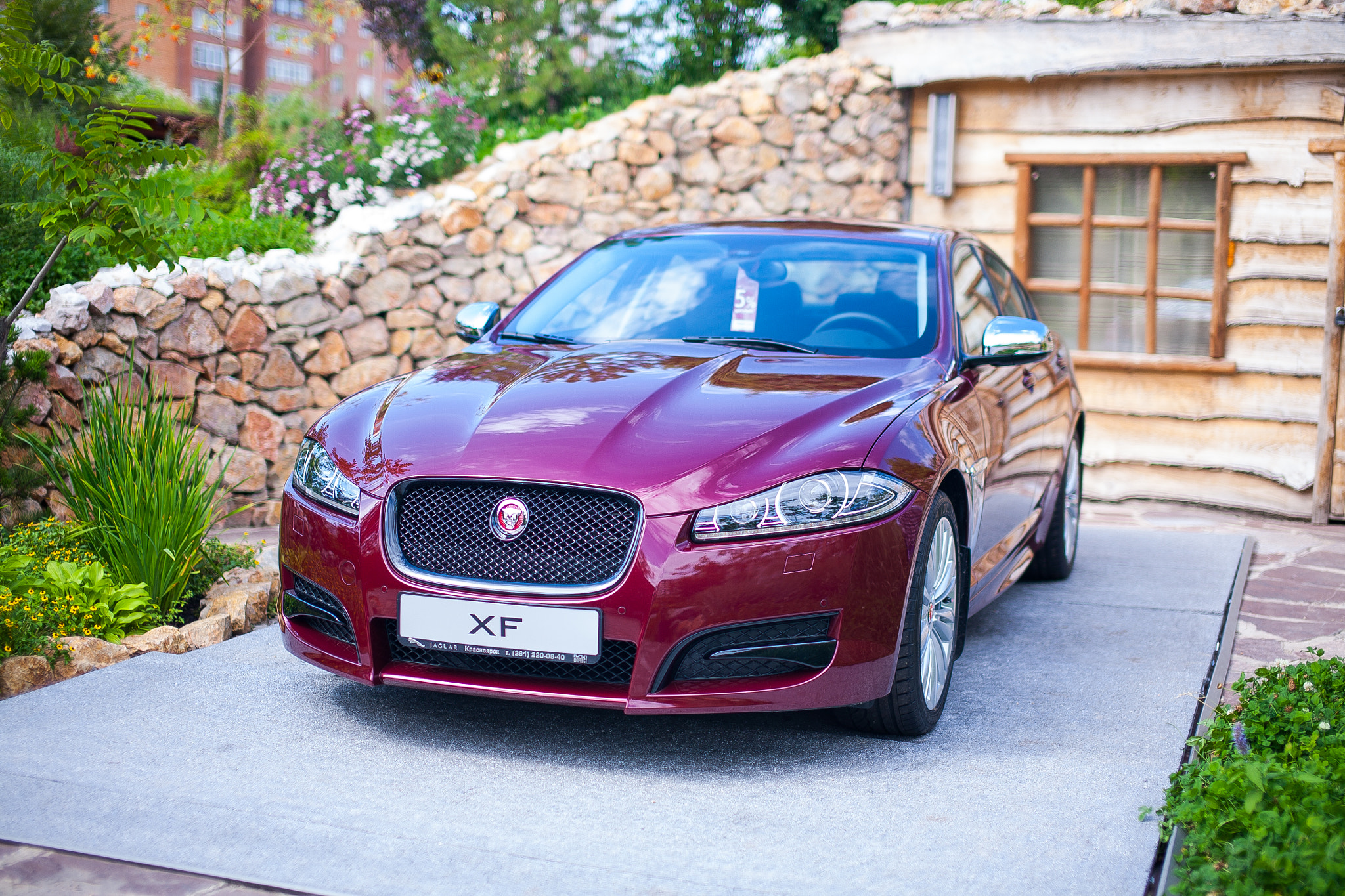 Sigma 50mm F1.4 EX DG HSM sample photo. Jaguar photography