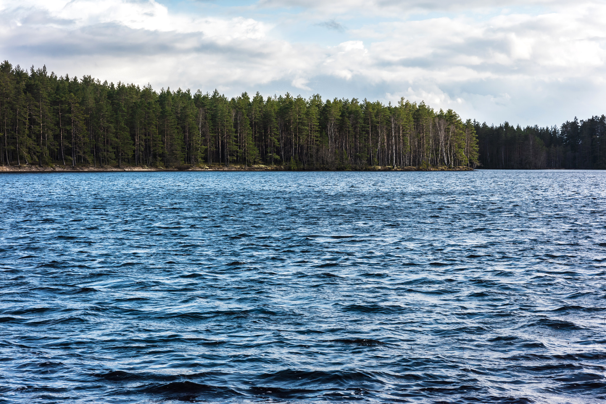 Sigma 85mm F1.4 EX DG HSM sample photo. Lake in vaggeryd photography