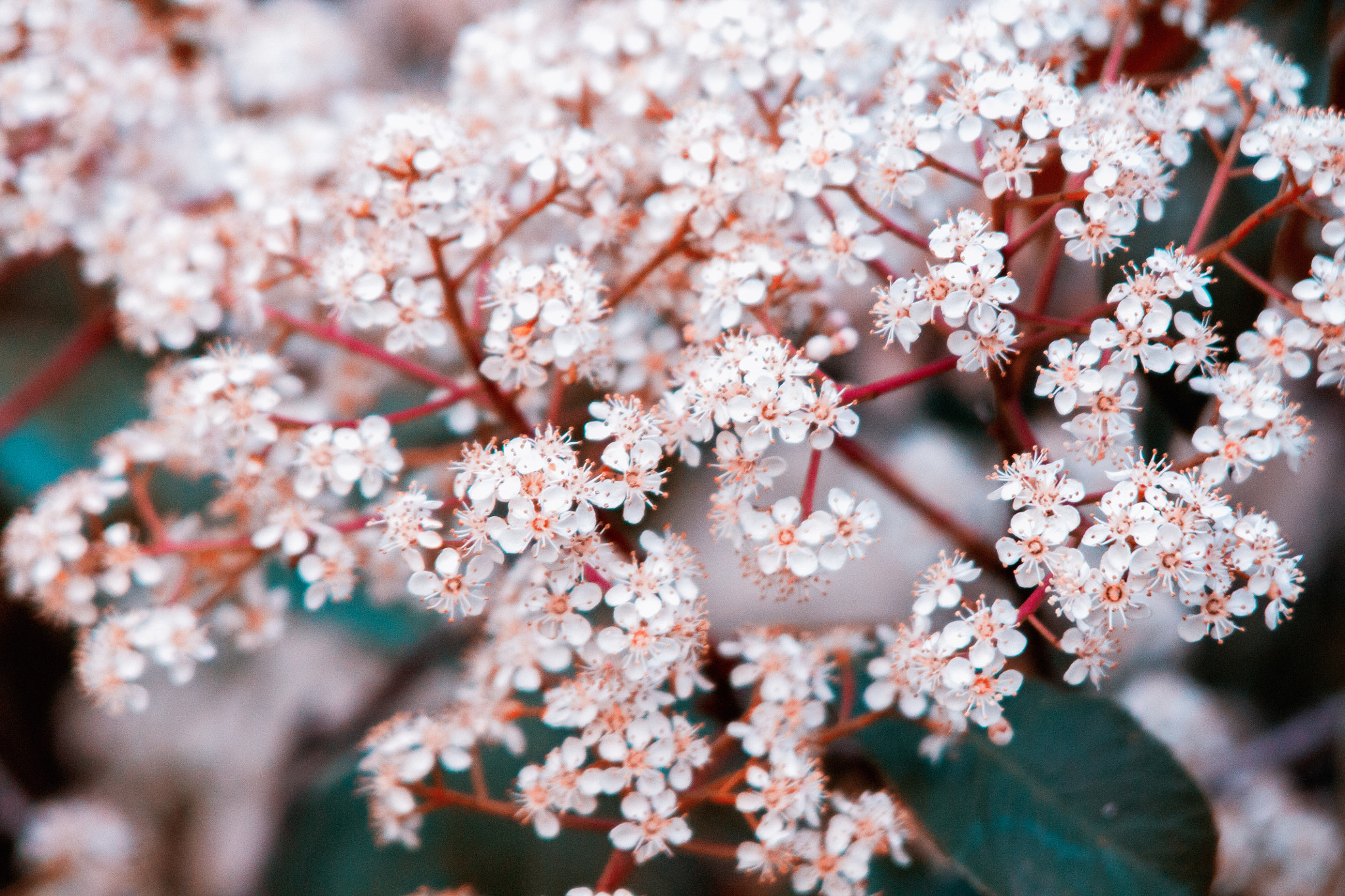 Canon EF 35-105mm f/4.5-5.6 USM sample photo. Spring photography