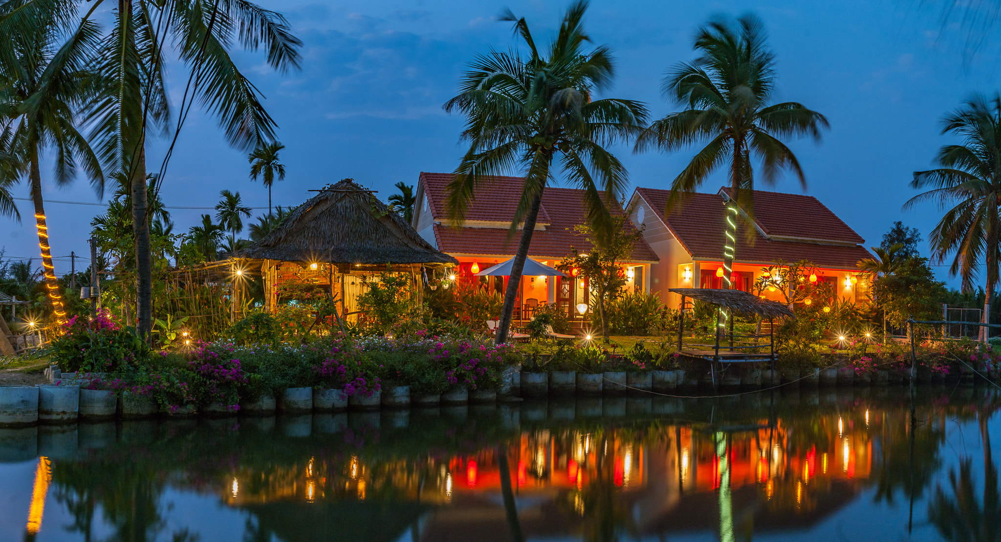 Sony Alpha DSLR-A330 + Sony DT 35mm F1.8 SAM sample photo. Palm tree homestay photography