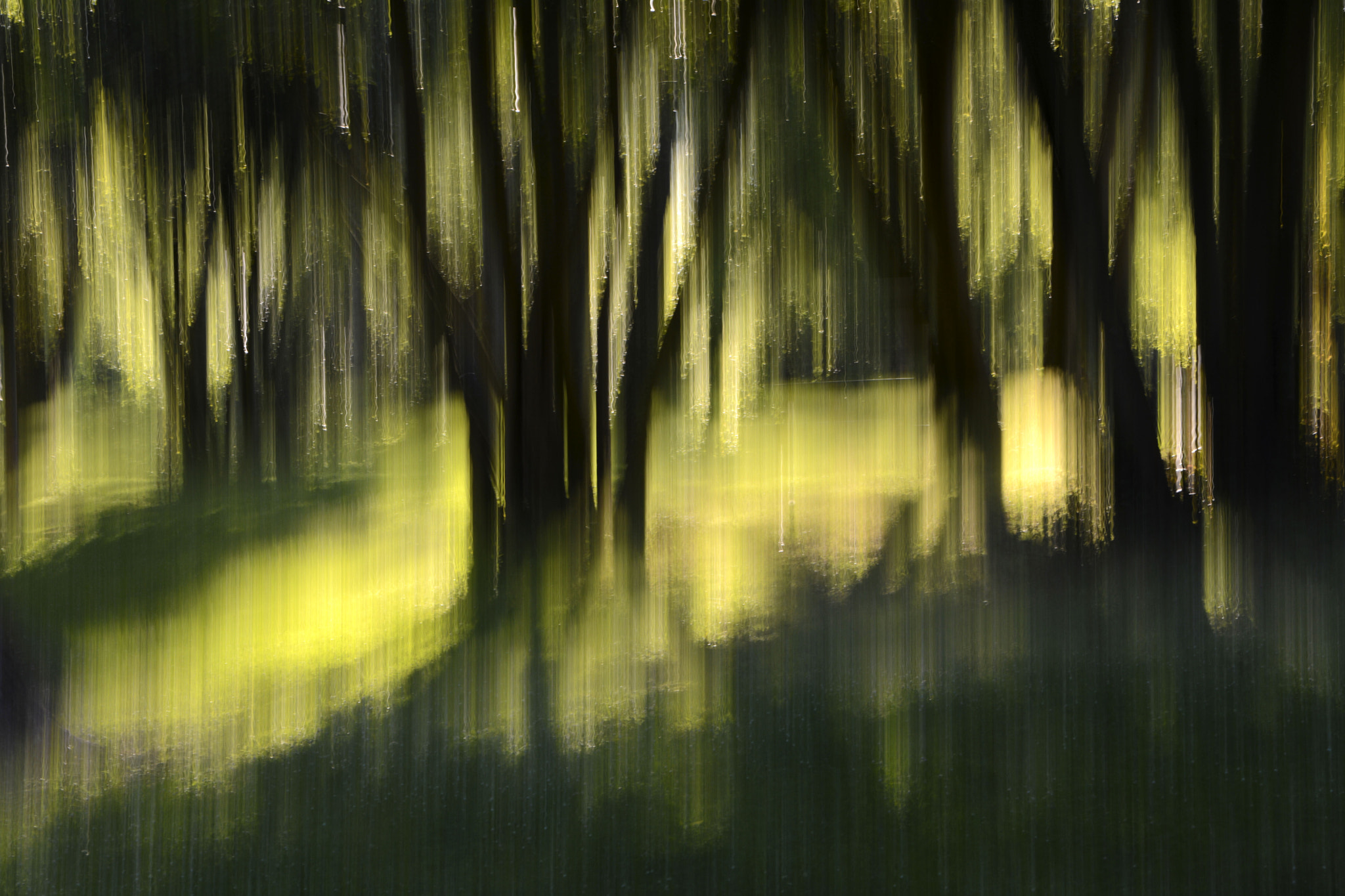 Sigma 17-70mm F2.8-4 DC Macro OS HSM | C sample photo. Mouvement v photography