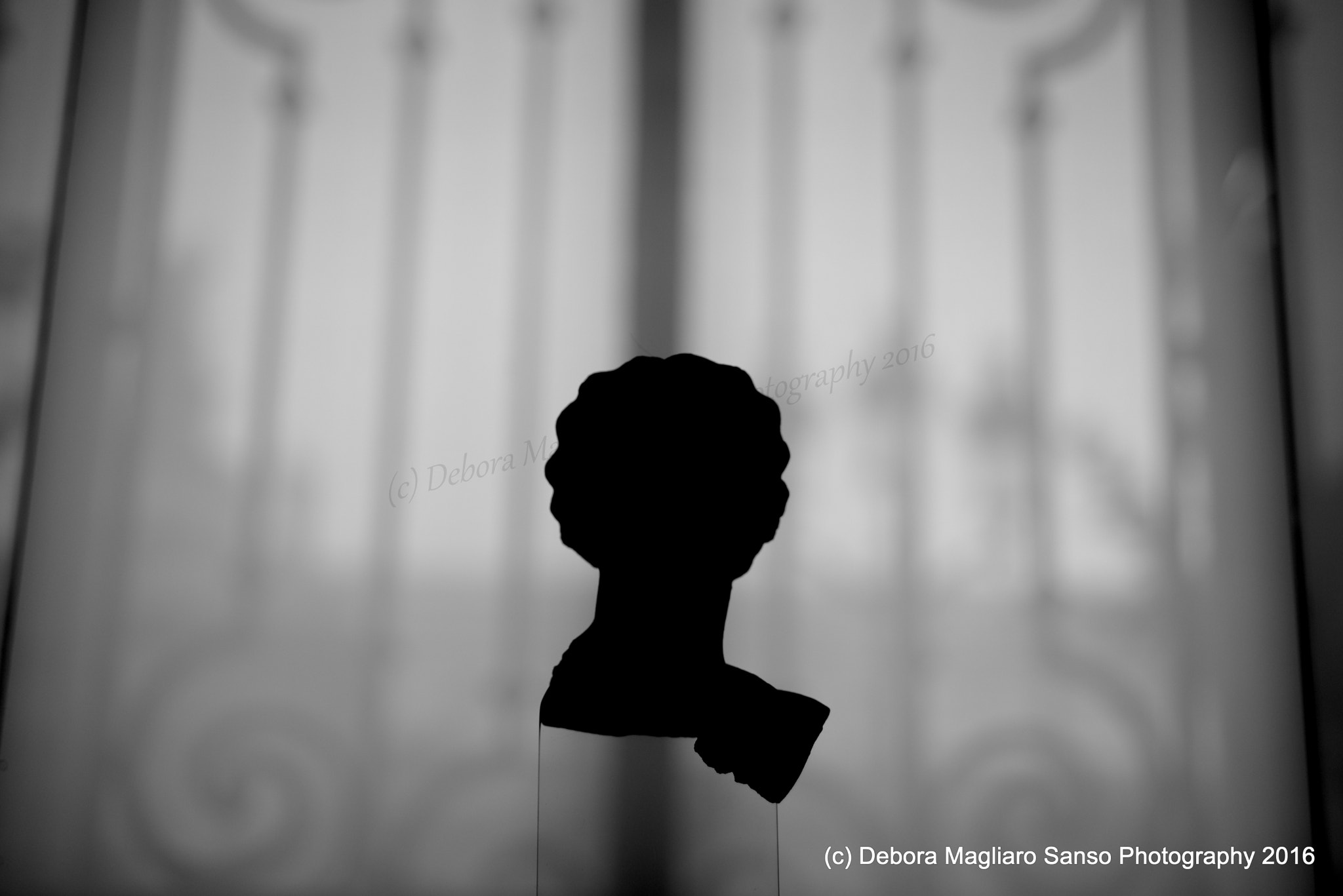 Nikon D610 + Nikon AF Micro-Nikkor 60mm F2.8D sample photo. Silent shadows photography