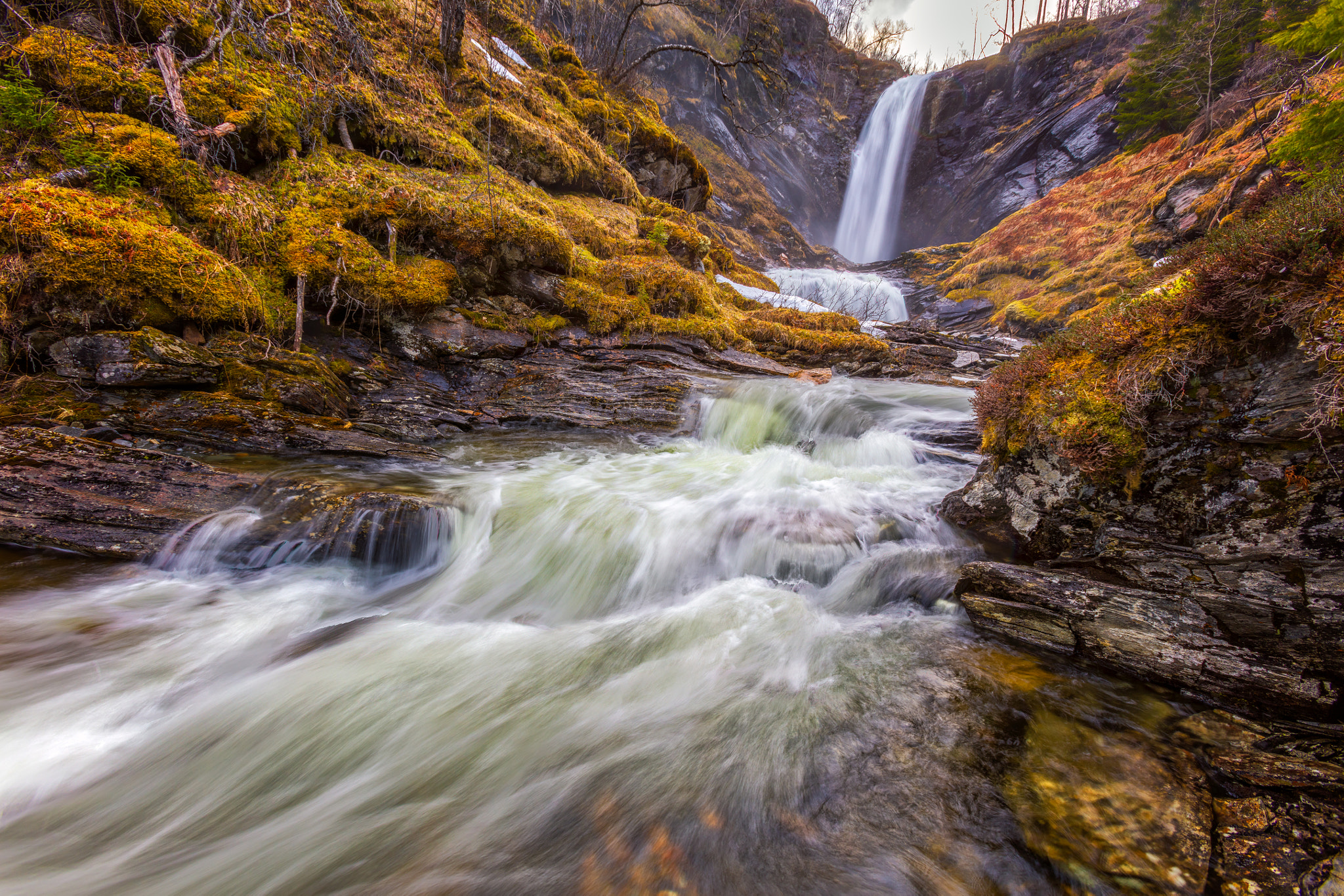 Canon EOS 5DS R + Canon EF 16-35mm F2.8L USM sample photo. Springwater photography