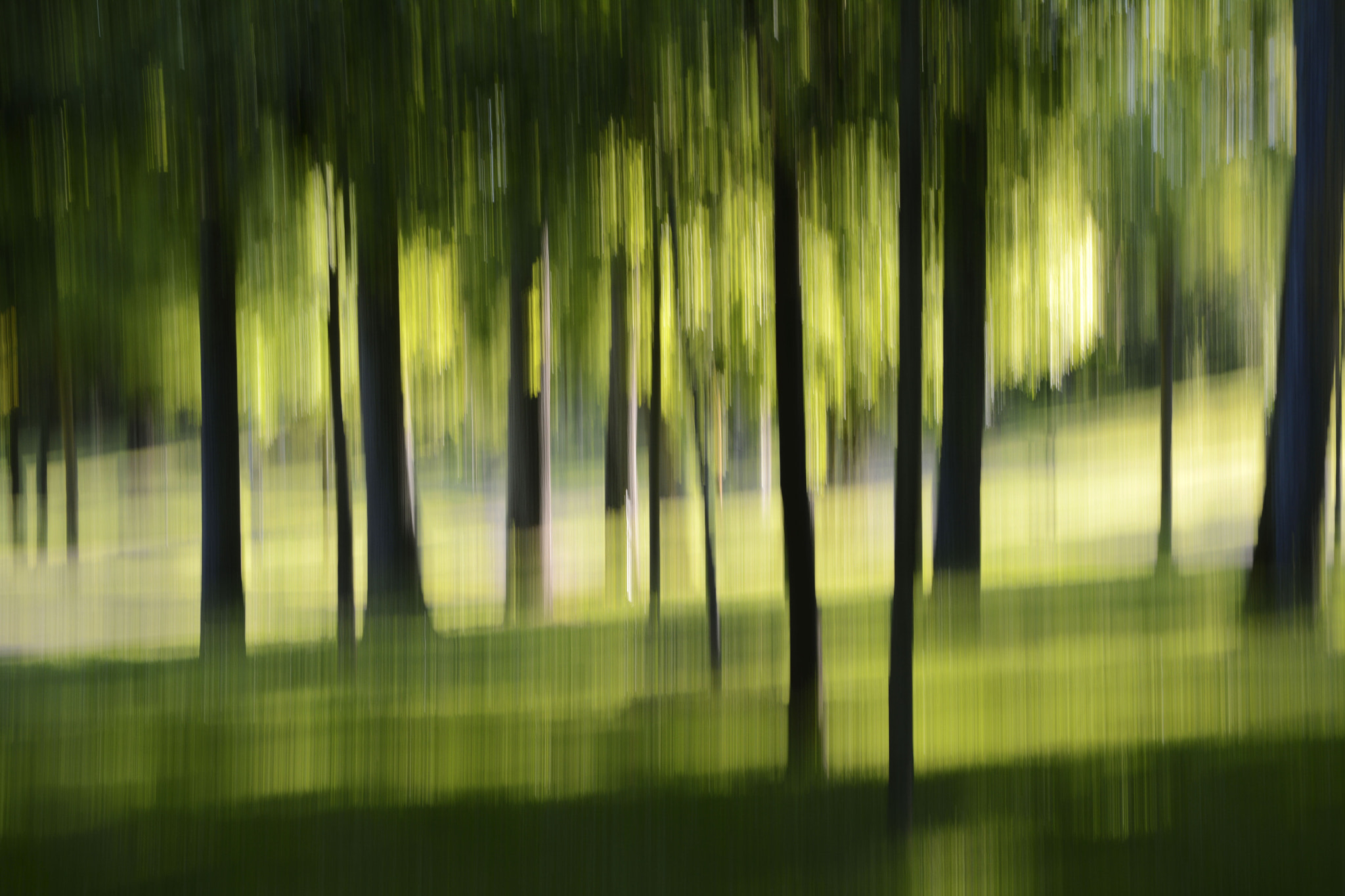 Sigma 17-70mm F2.8-4 DC Macro OS HSM | C sample photo. Mouvement vi photography