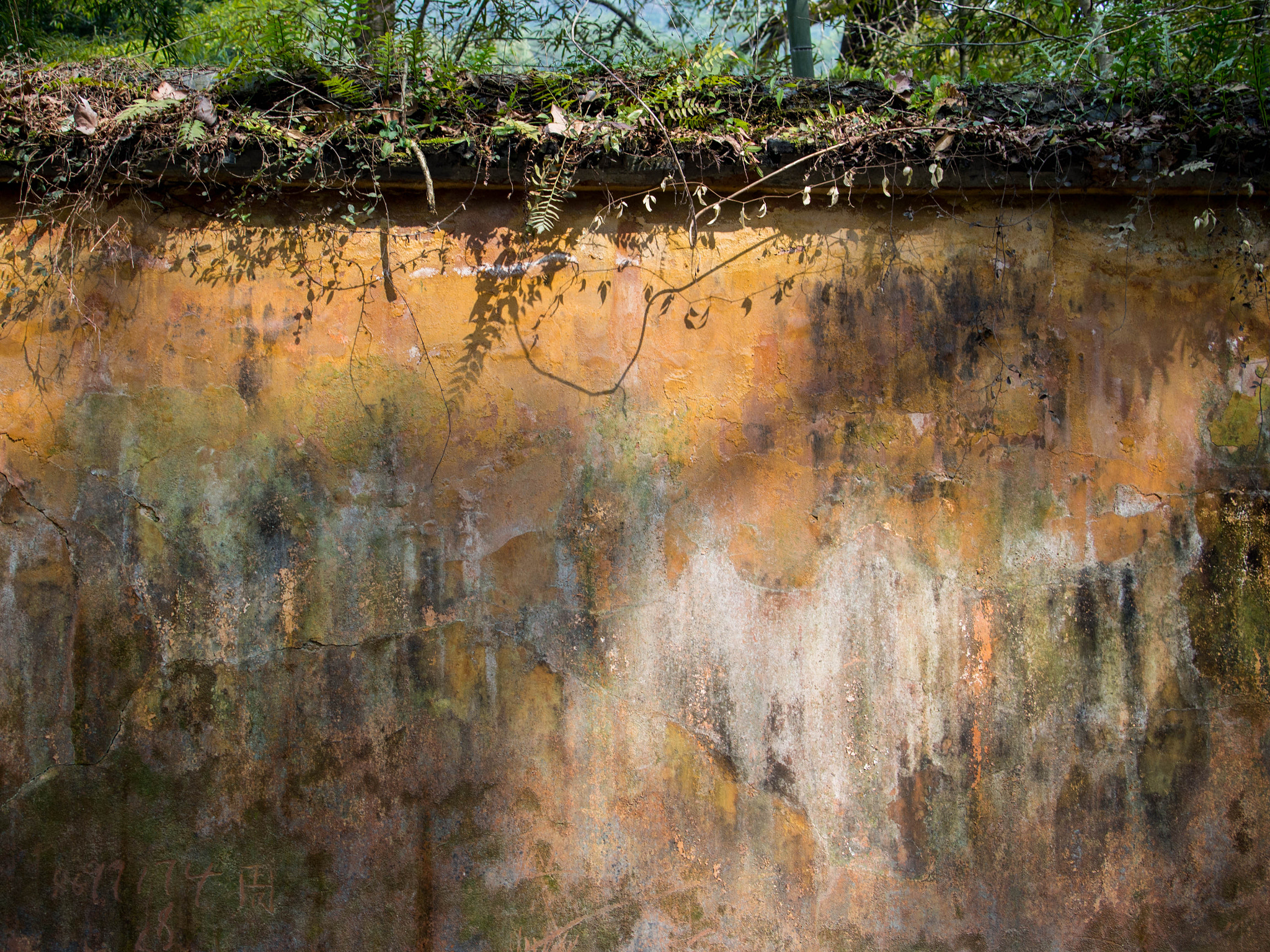 Olympus PEN E-P5 sample photo. Old wall in the sun shine photography