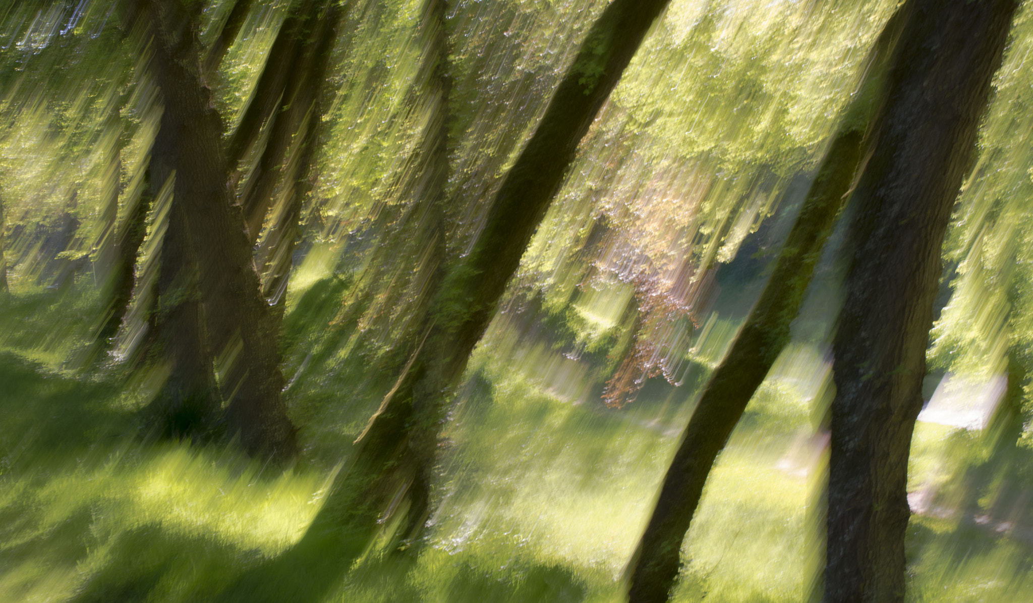 Sigma 17-70mm F2.8-4 DC Macro OS HSM | C sample photo. Mouvement vii photography