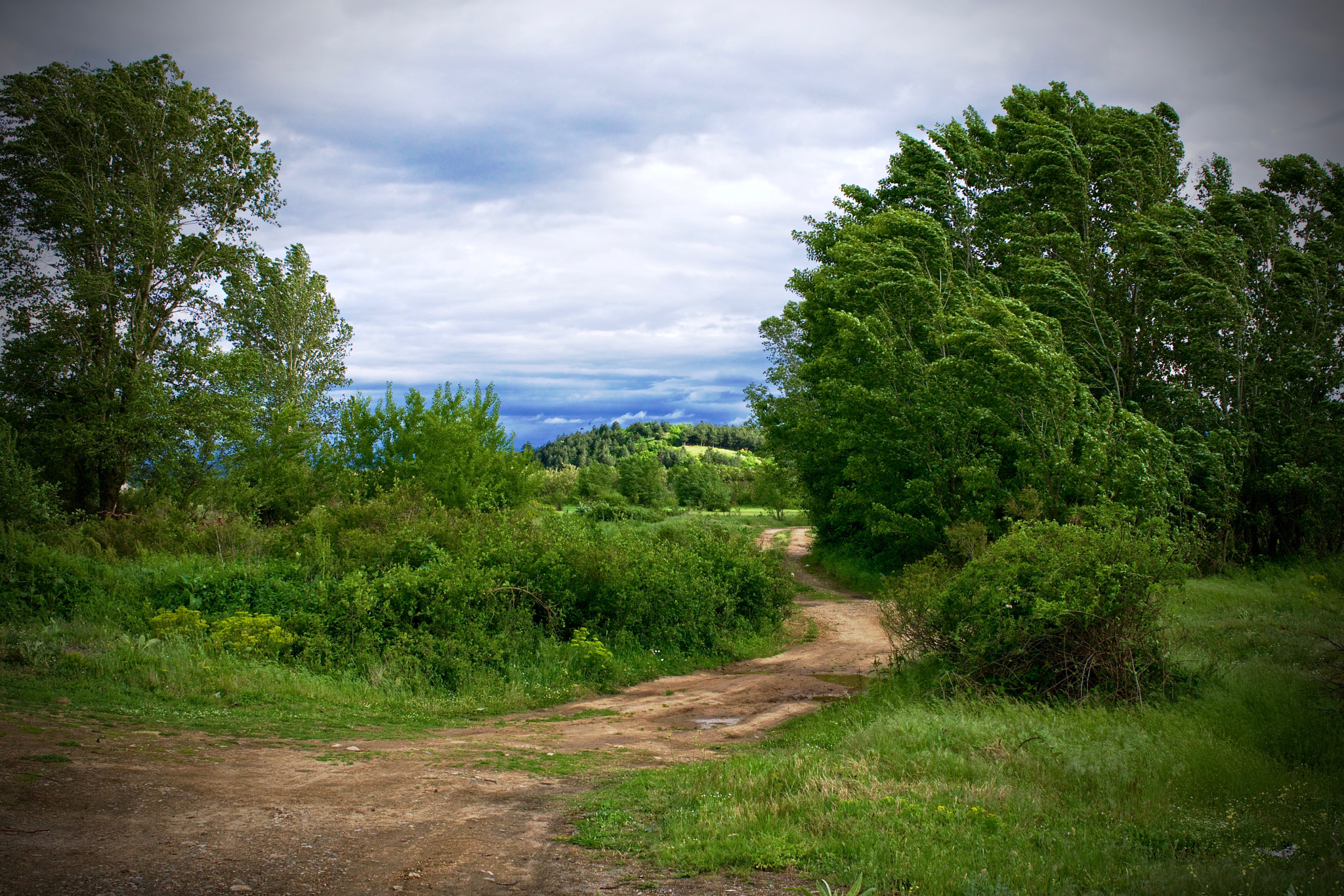 Sony a6000 + ZEISS Touit 32mm F1.8 sample photo. The outskirts of kalugerovo photography