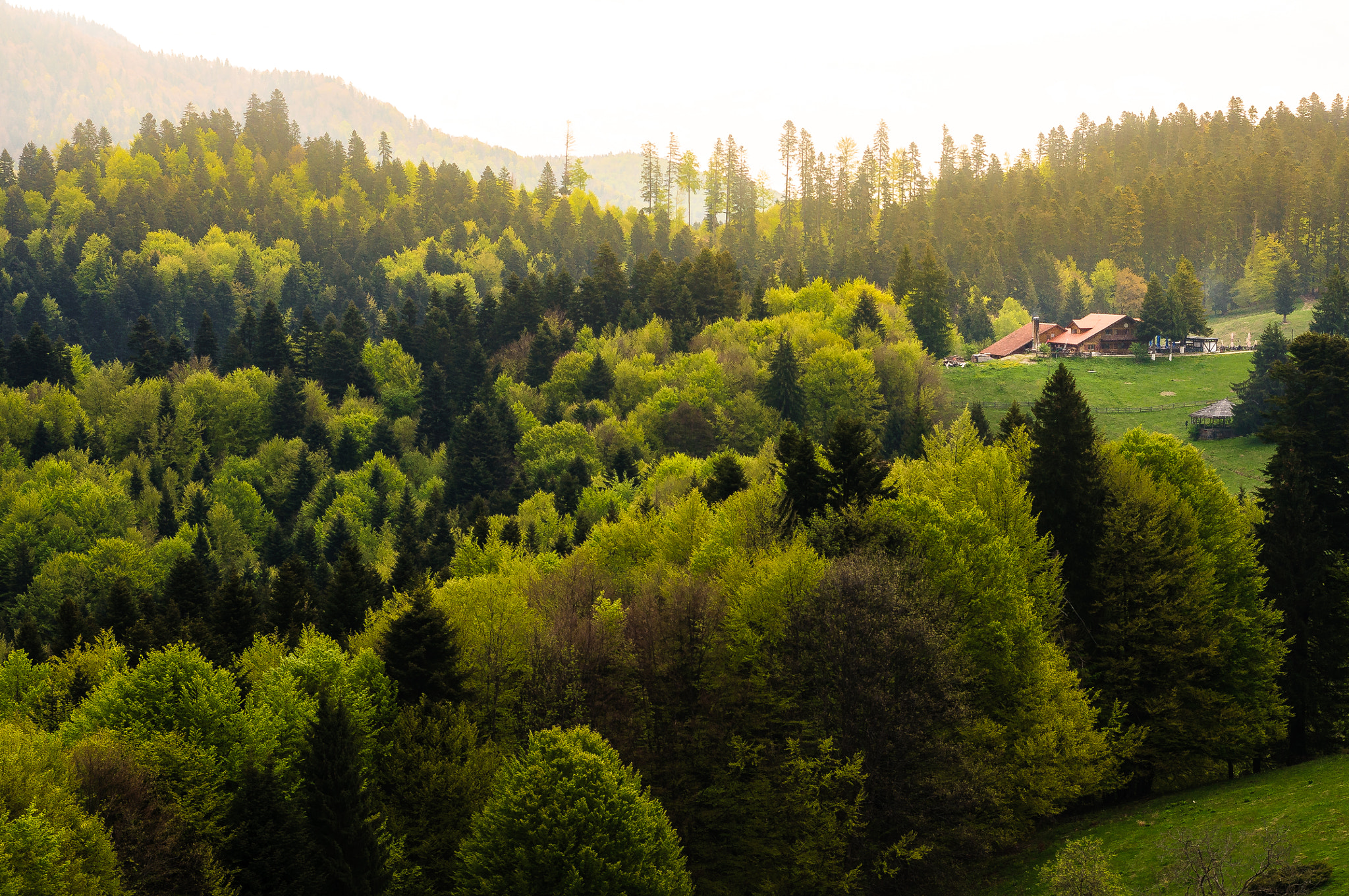 AF Zoom-Nikkor 35-105mm f/3.5-4.5 sample photo. Brasov, romania photography