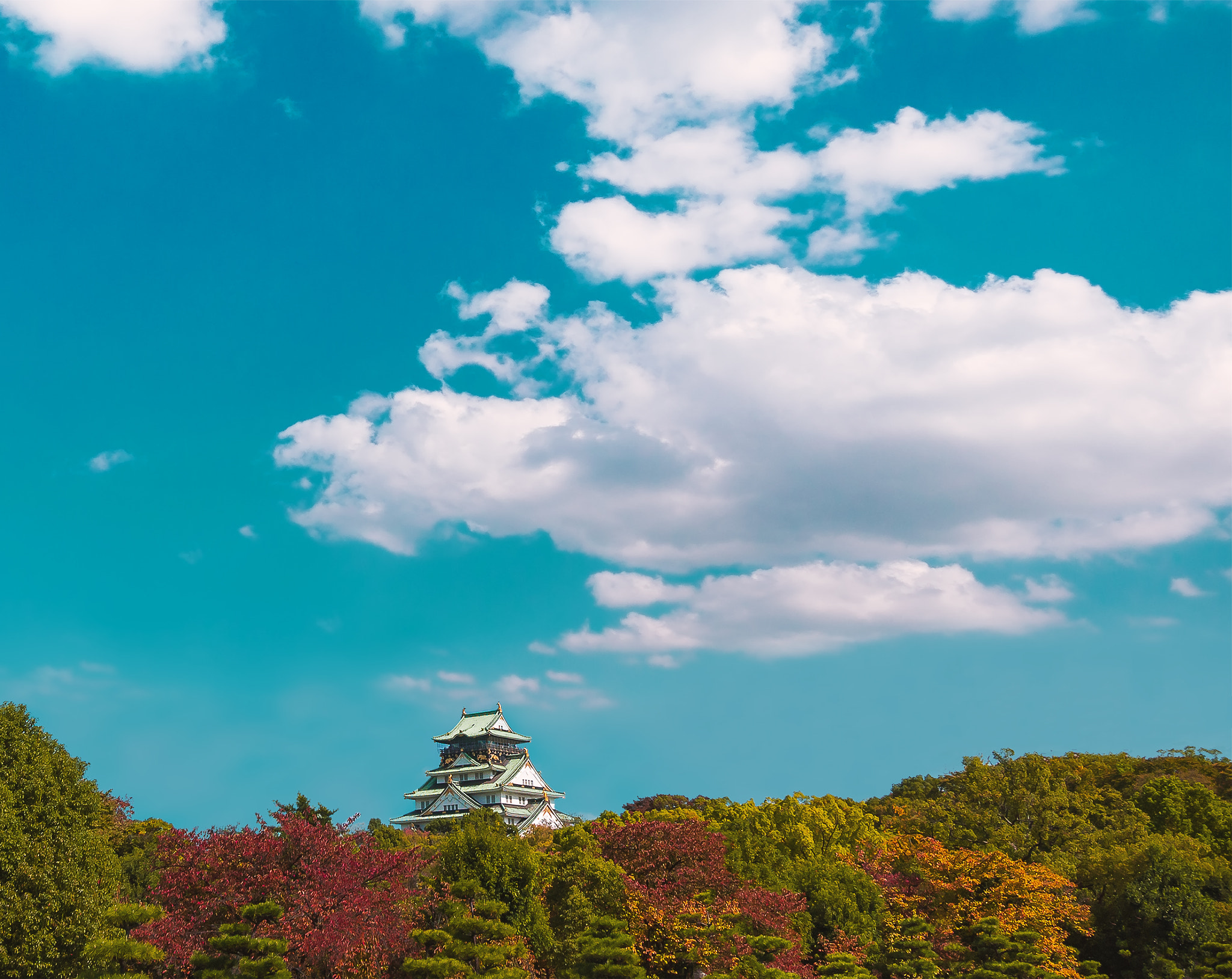 Panasonic Lumix DMC-GF1 + Panasonic Lumix G Vario 7-14mm F4 ASPH sample photo. Osaka castle during the spring season at osaka, japan. vintage t photography