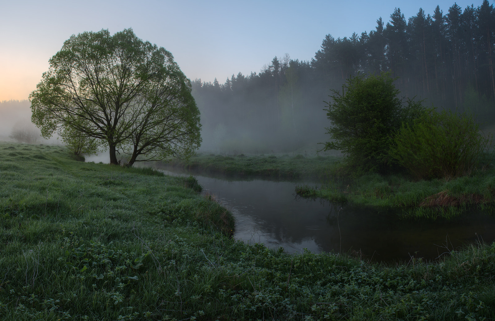 Nikon D600 sample photo. Misty morning photography