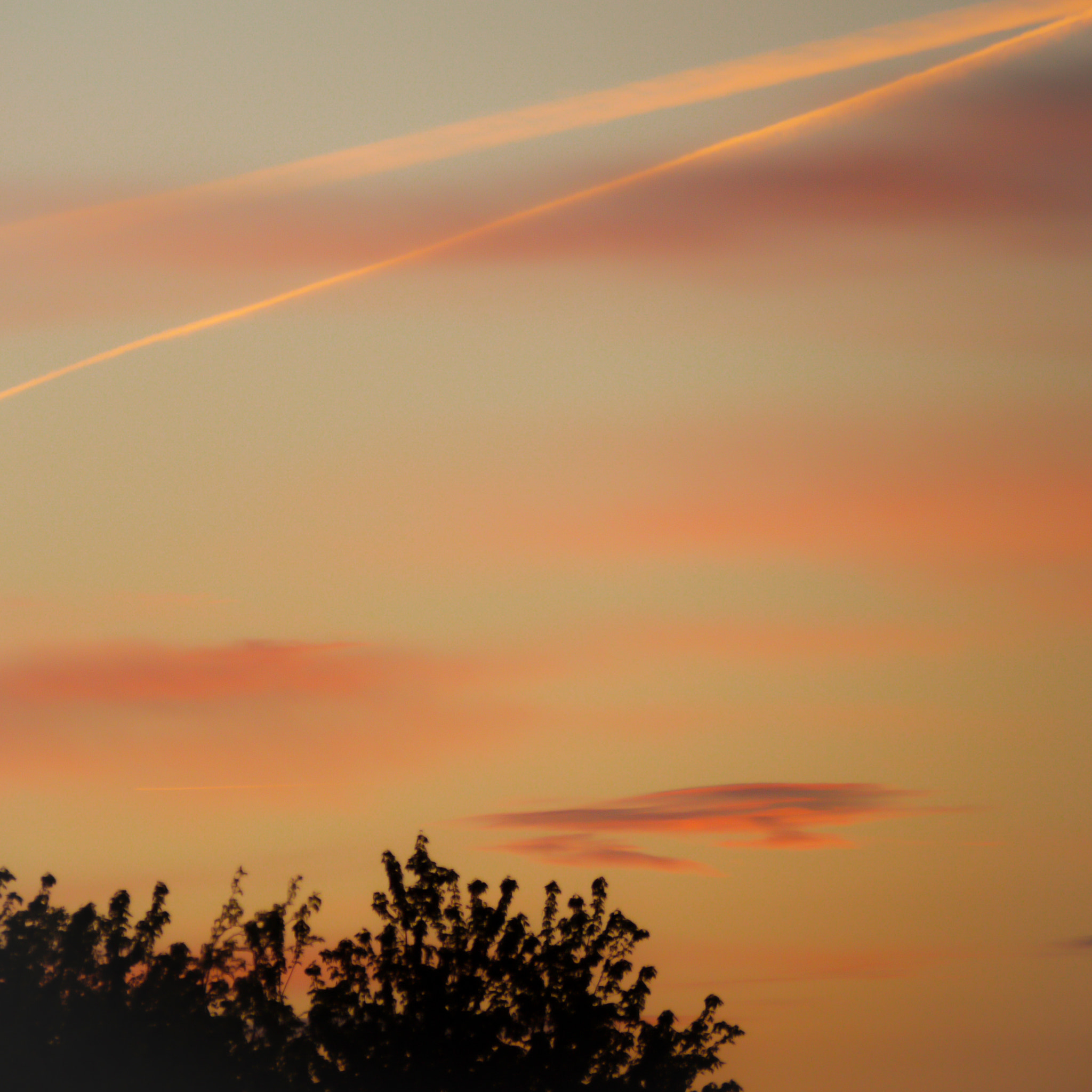 Panasonic Lumix G Vario 45-200mm F4-5.6 OIS sample photo. Orange sorbet sky photography